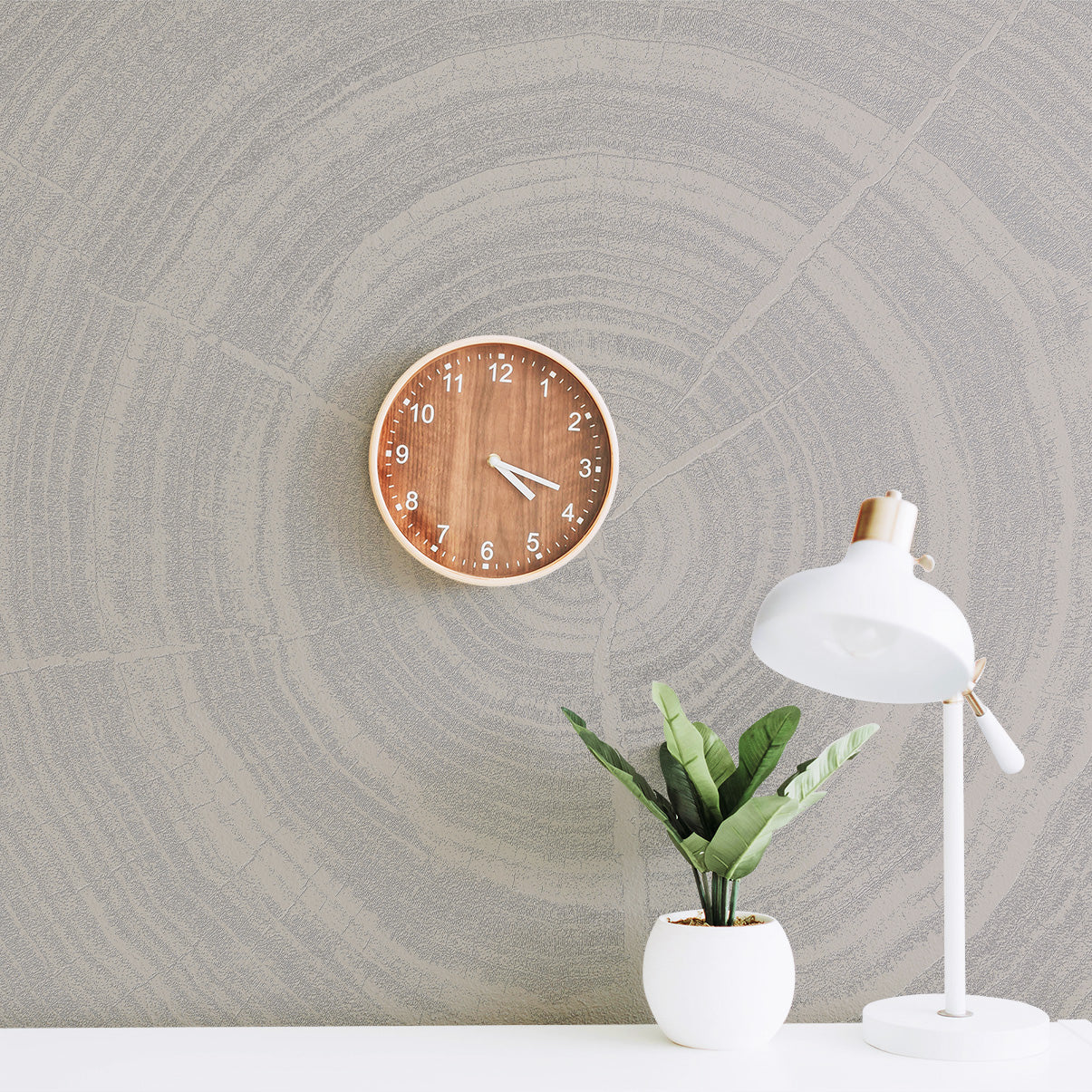3D Tree Rings - Paintable Mural