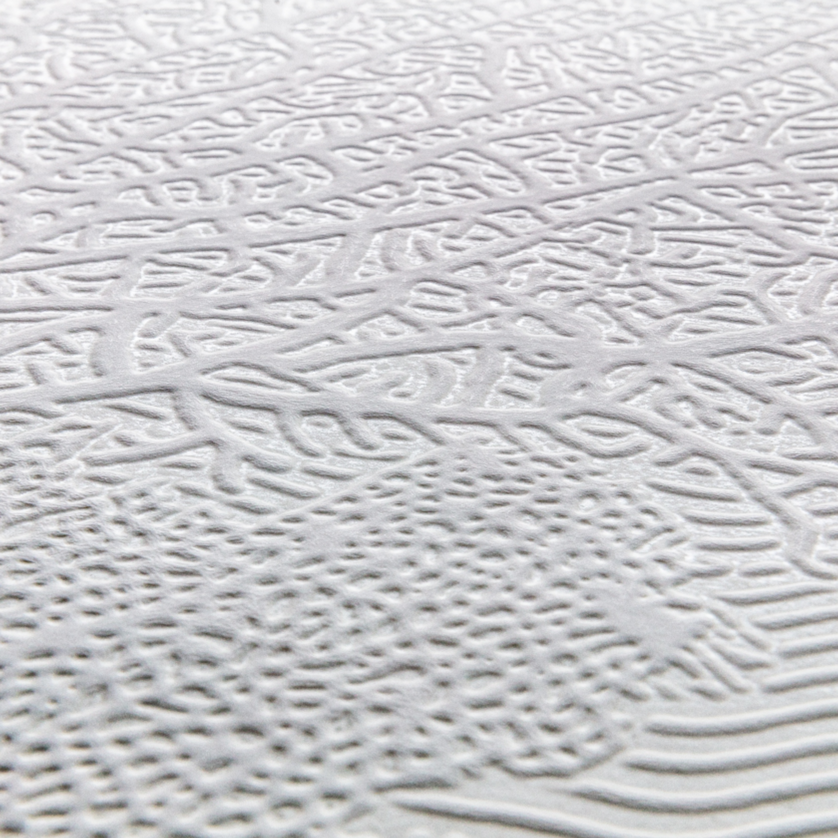 3D Coral Serenity