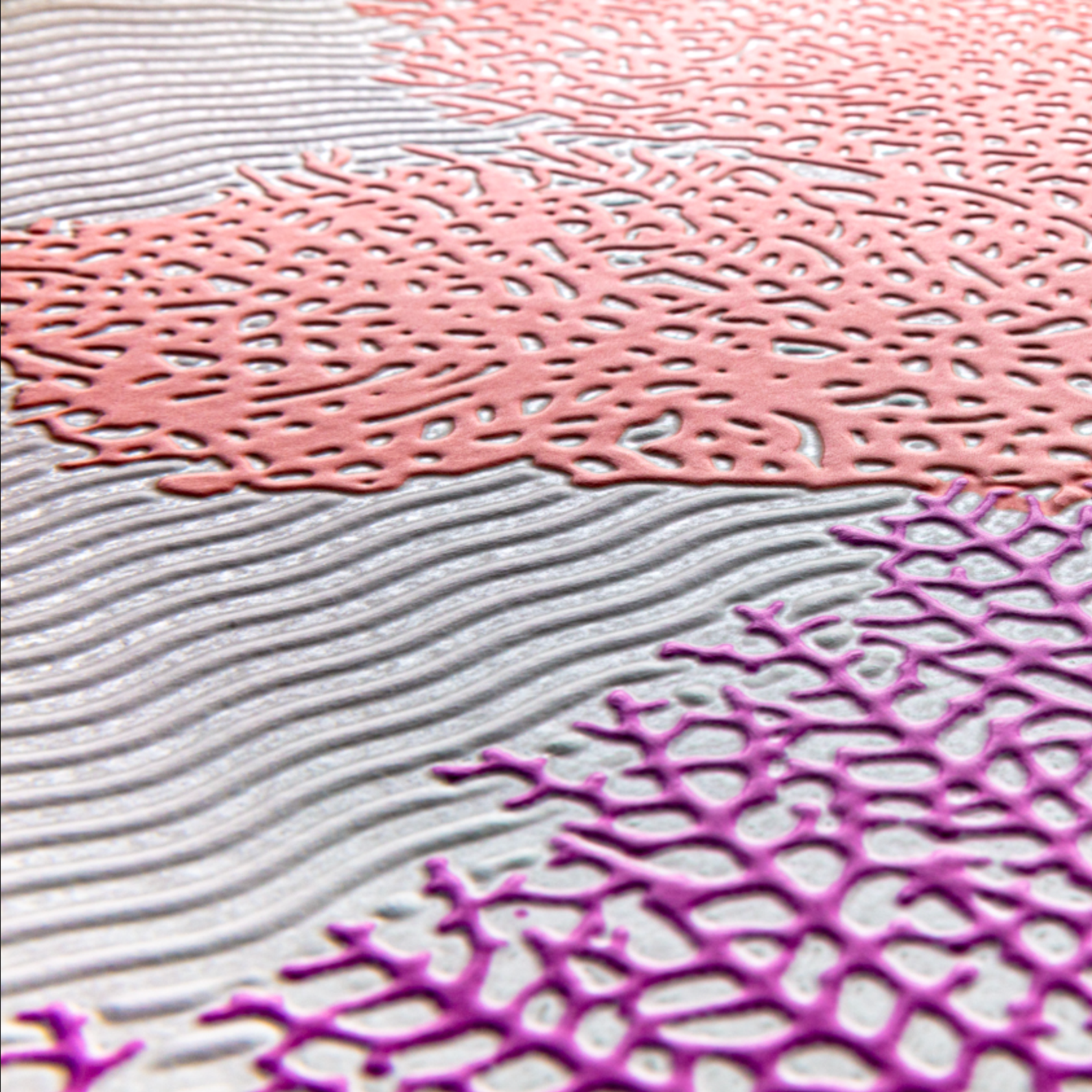 3D Coral Reef Dreams