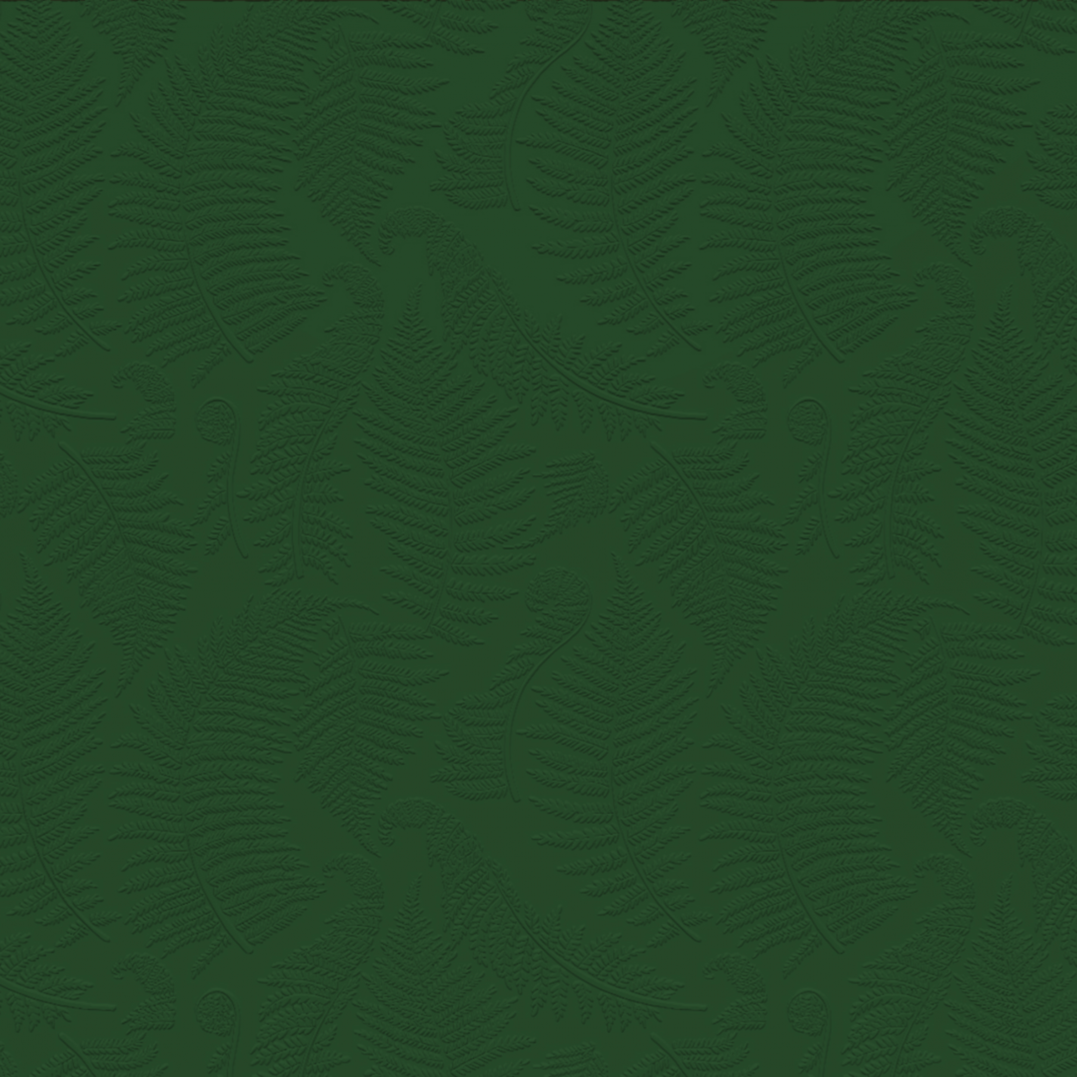 3D Forest Fern