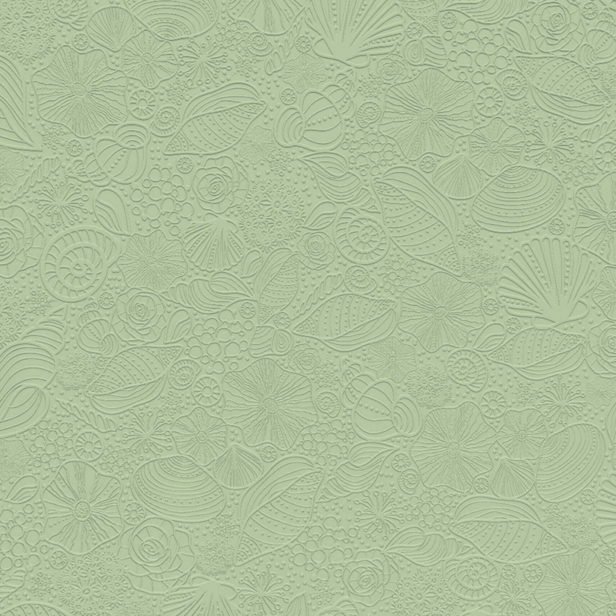 3D Seashell Harmony