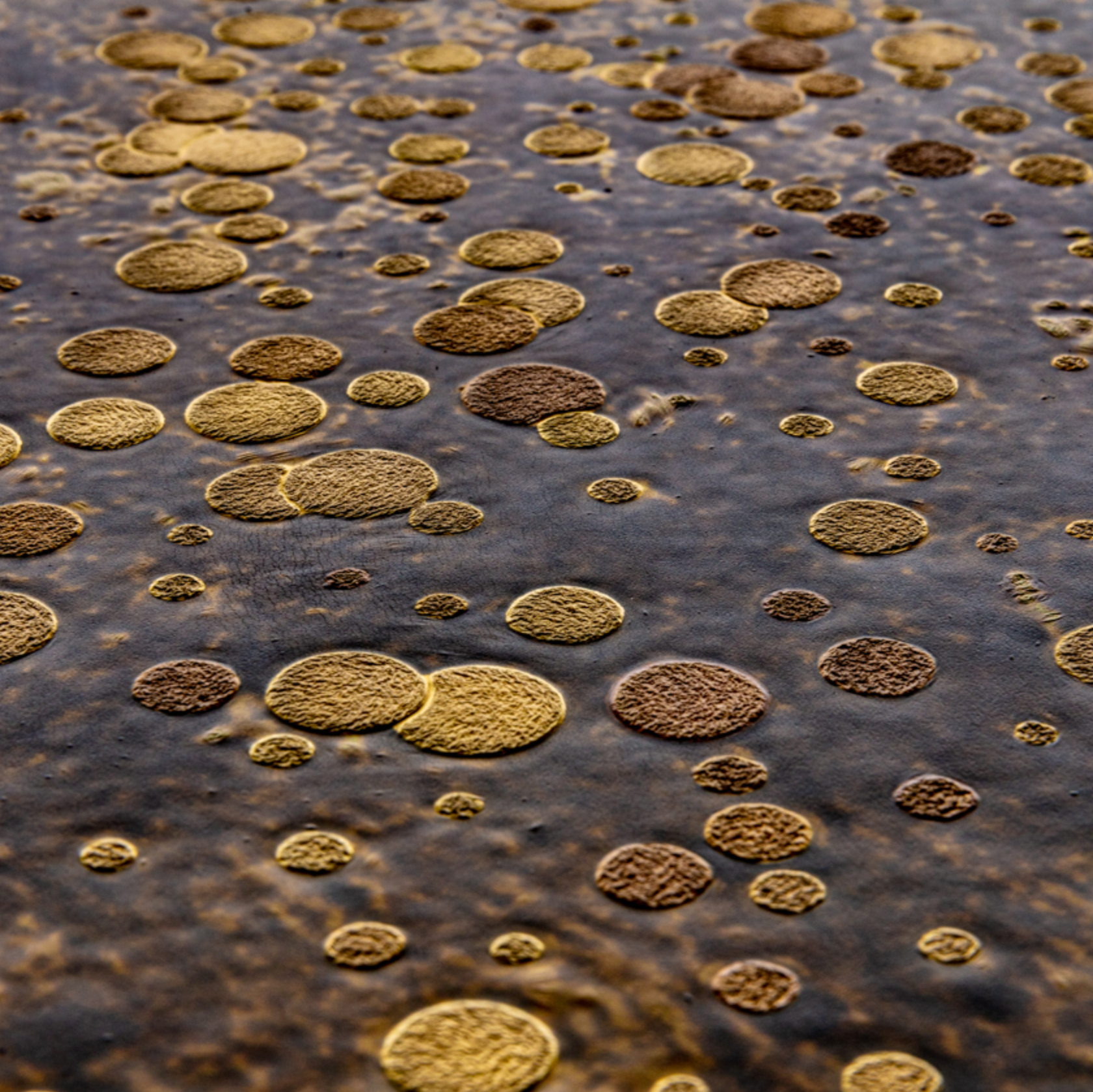 3D Golden Rain