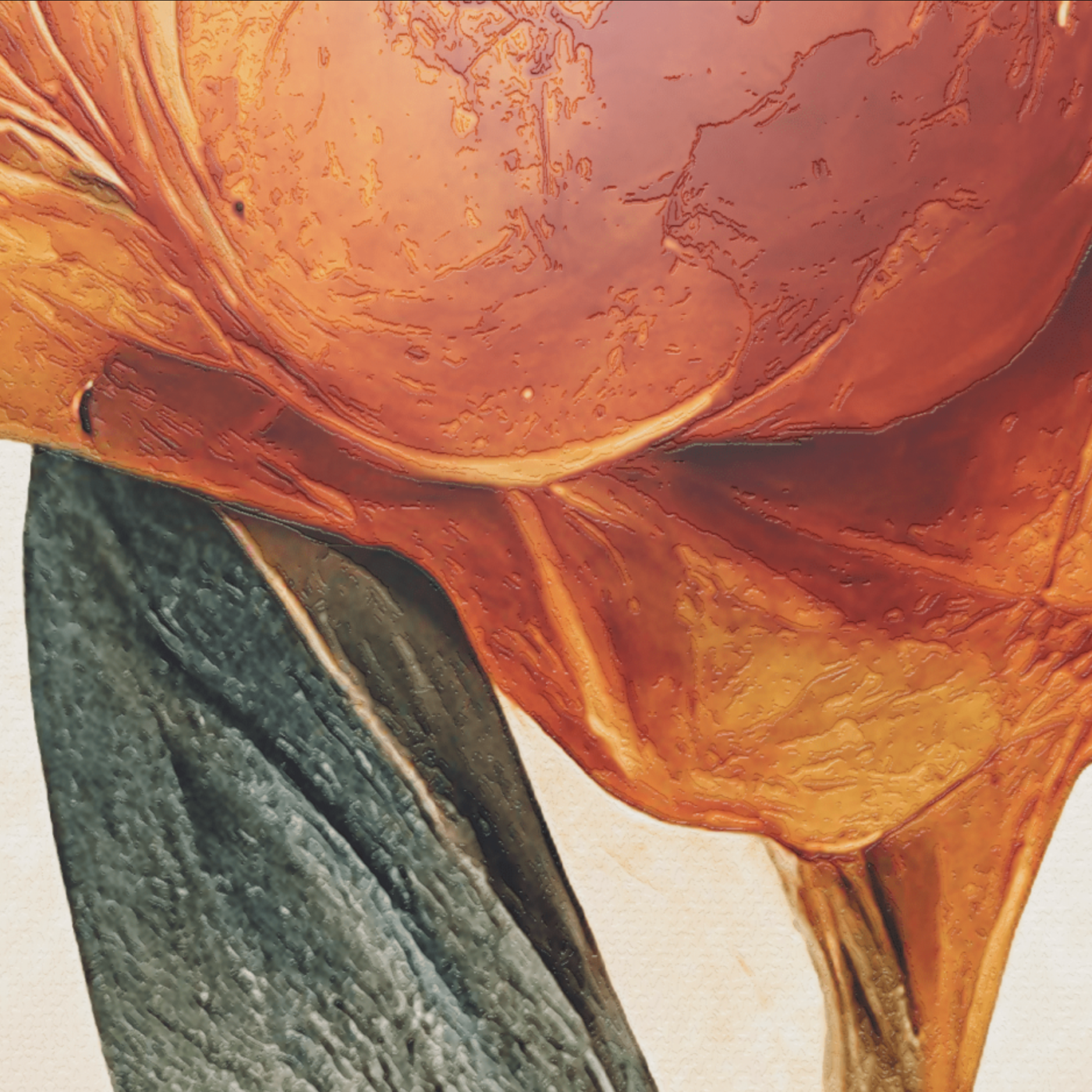 3D Floral Radiance