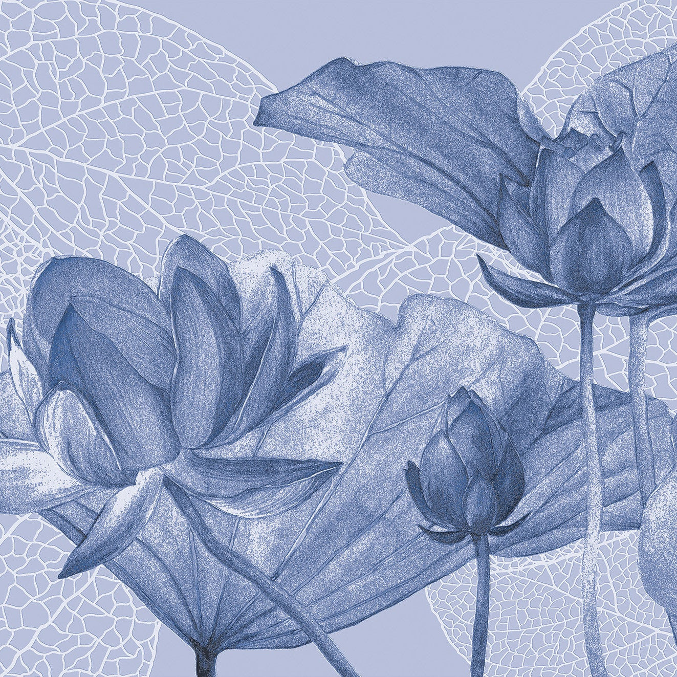 3D Lotus Flower - Printed Mural