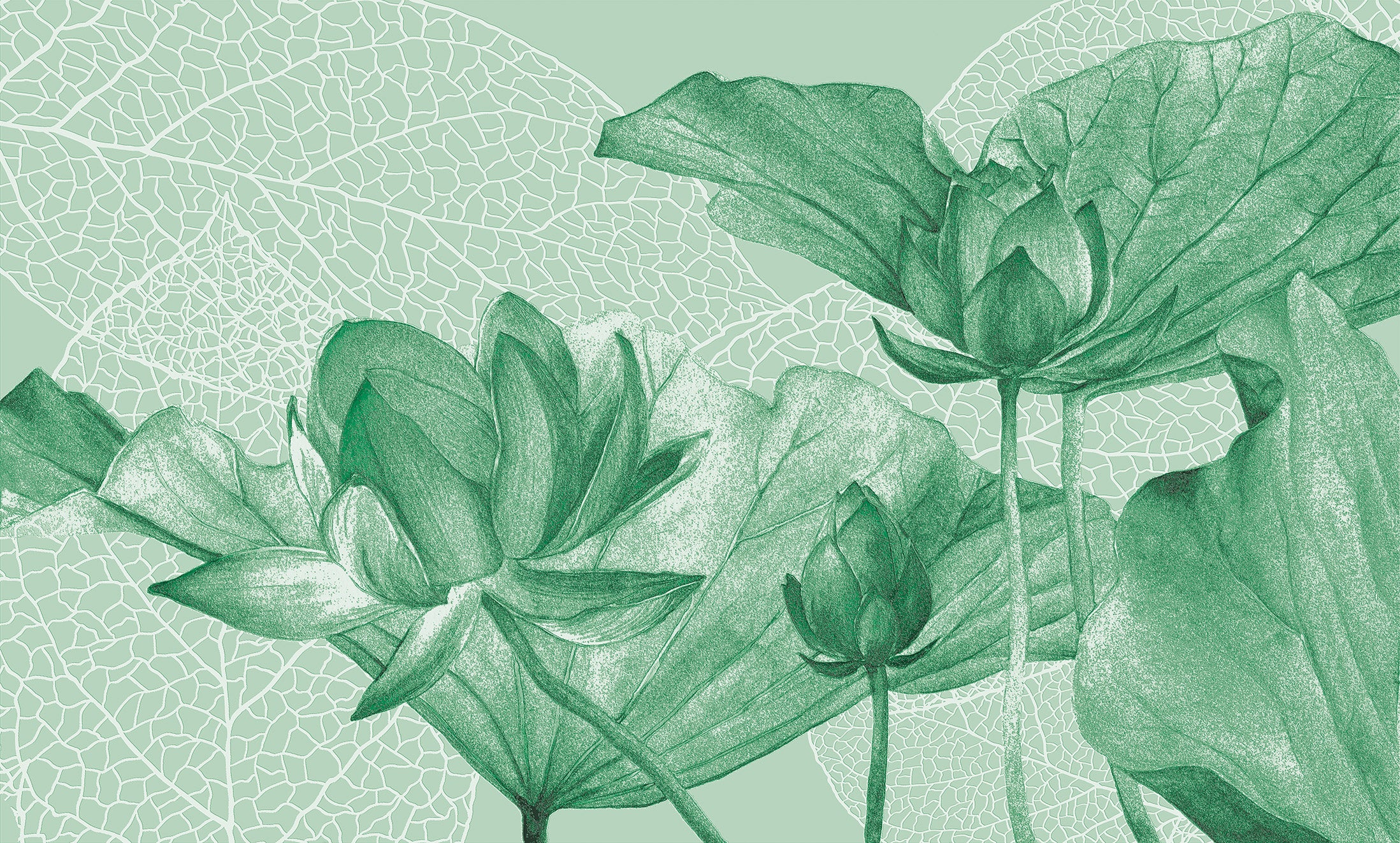 3D Lotus Flower - Printed Mural