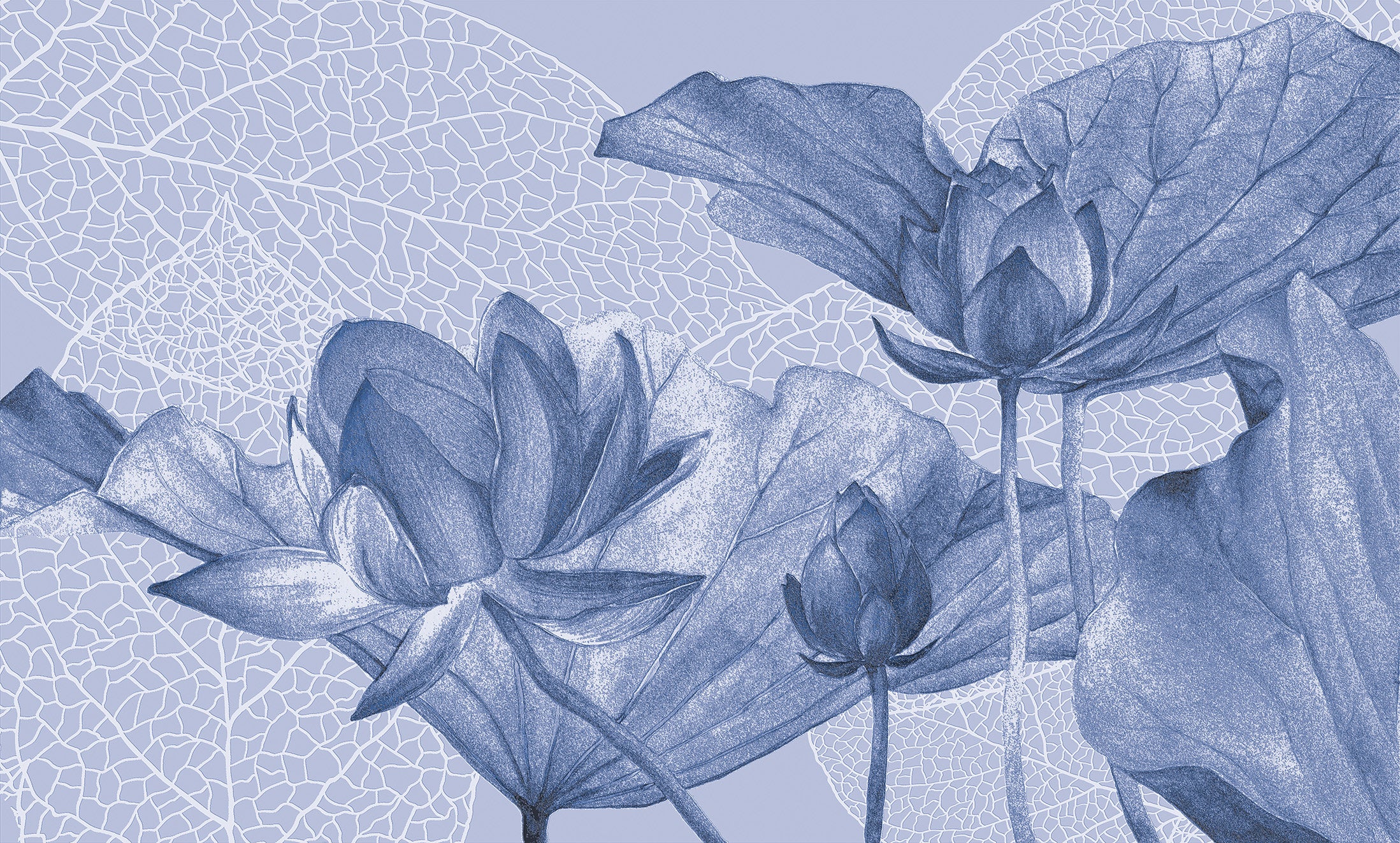 3D Lotus Flower - Printed Mural