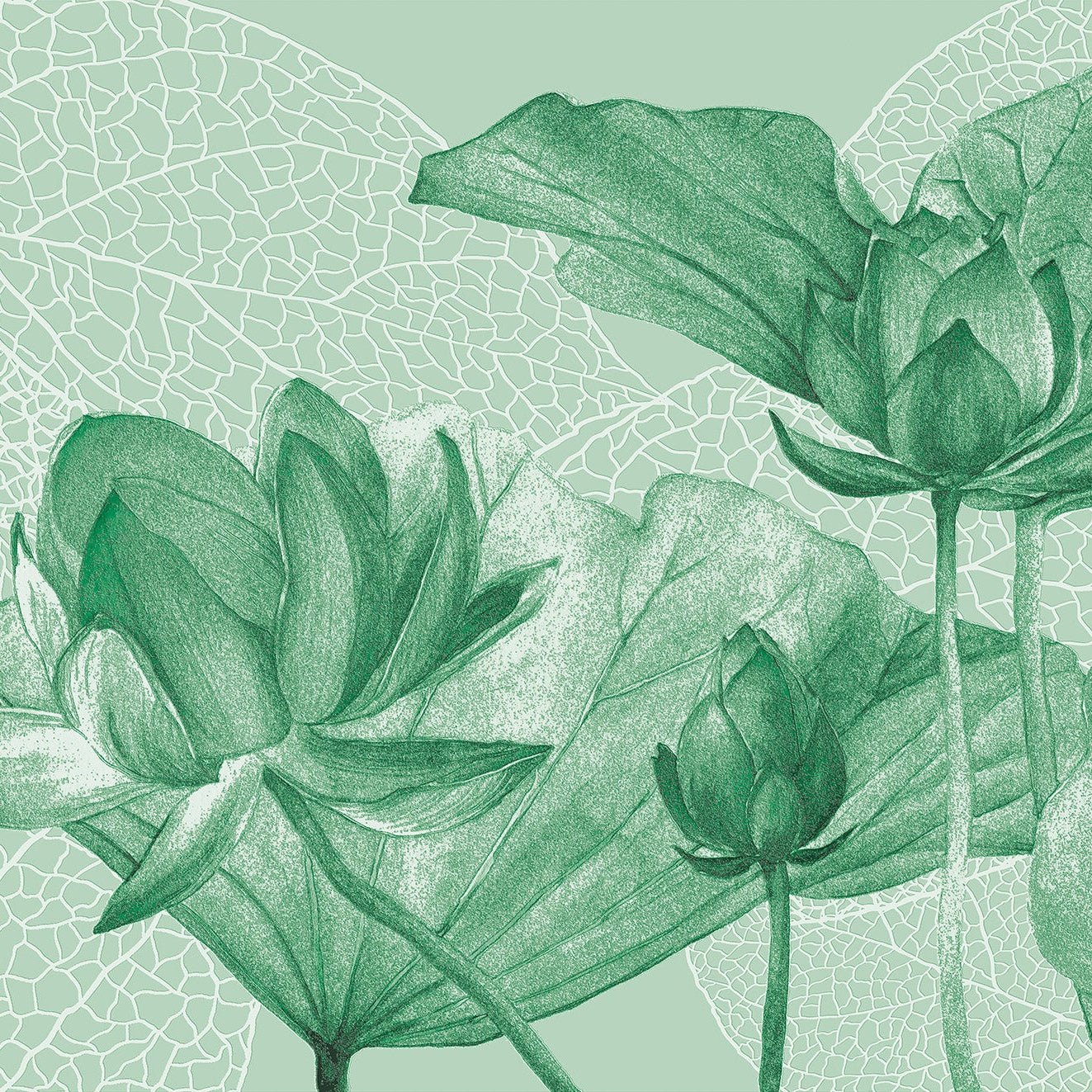 3D Lotus Flower - Printed Mural