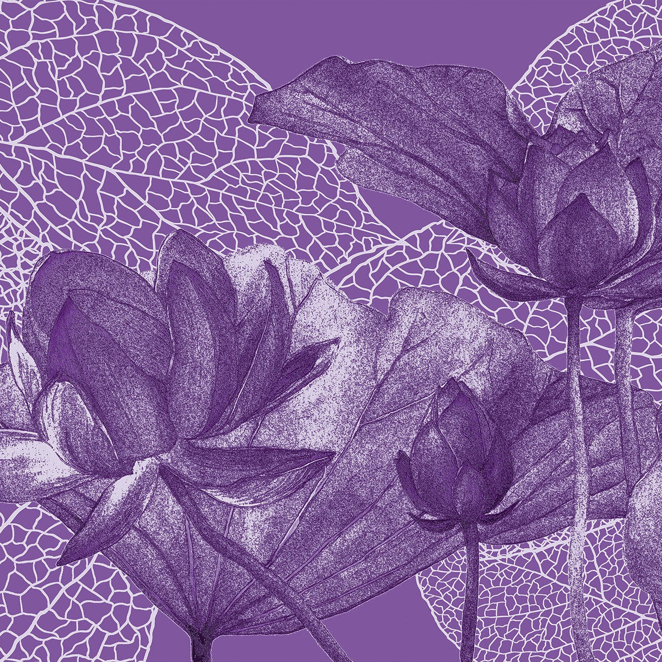 3D Lotus Flower - Printed Mural