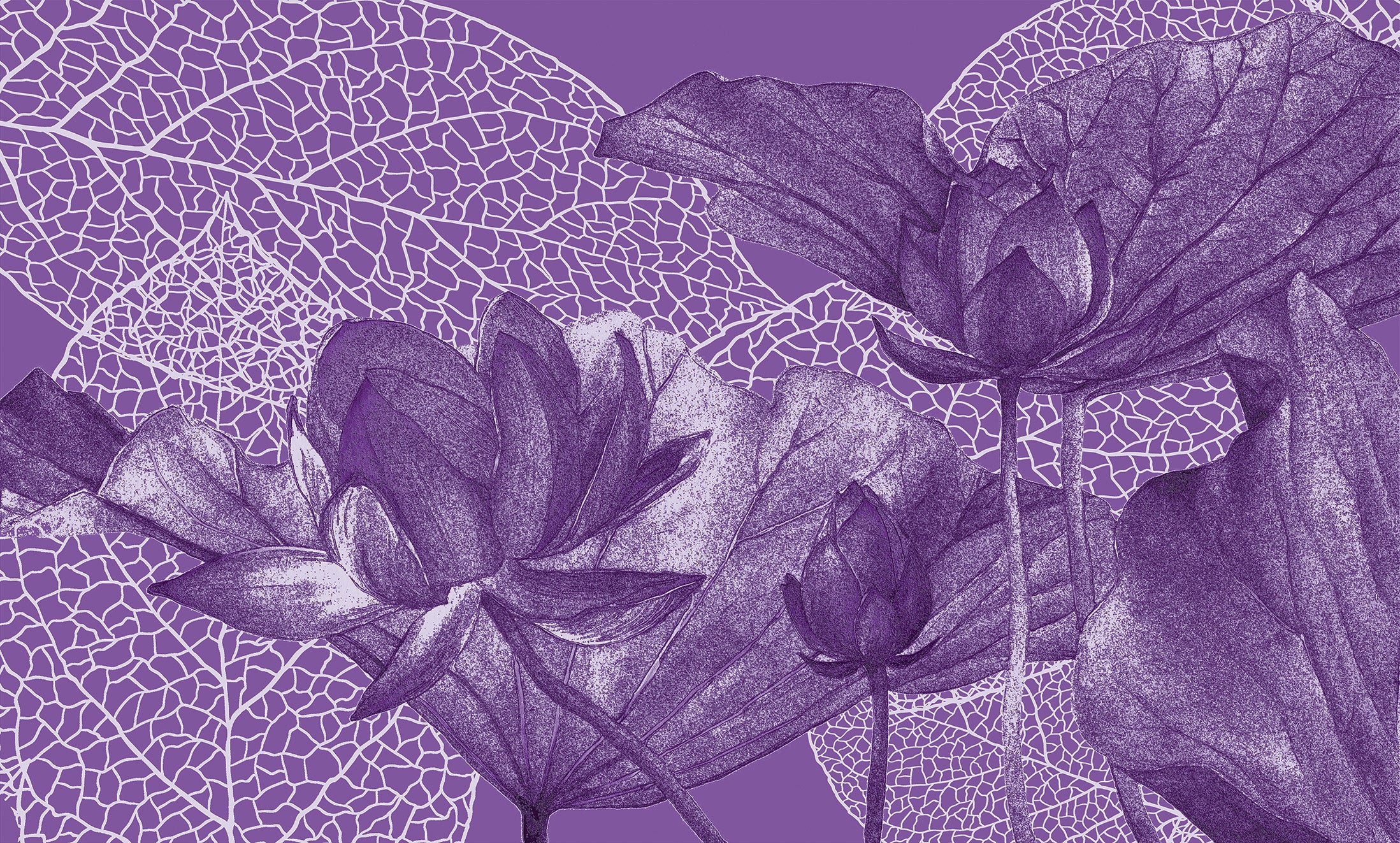 3D Lotus Flower - Printed Mural