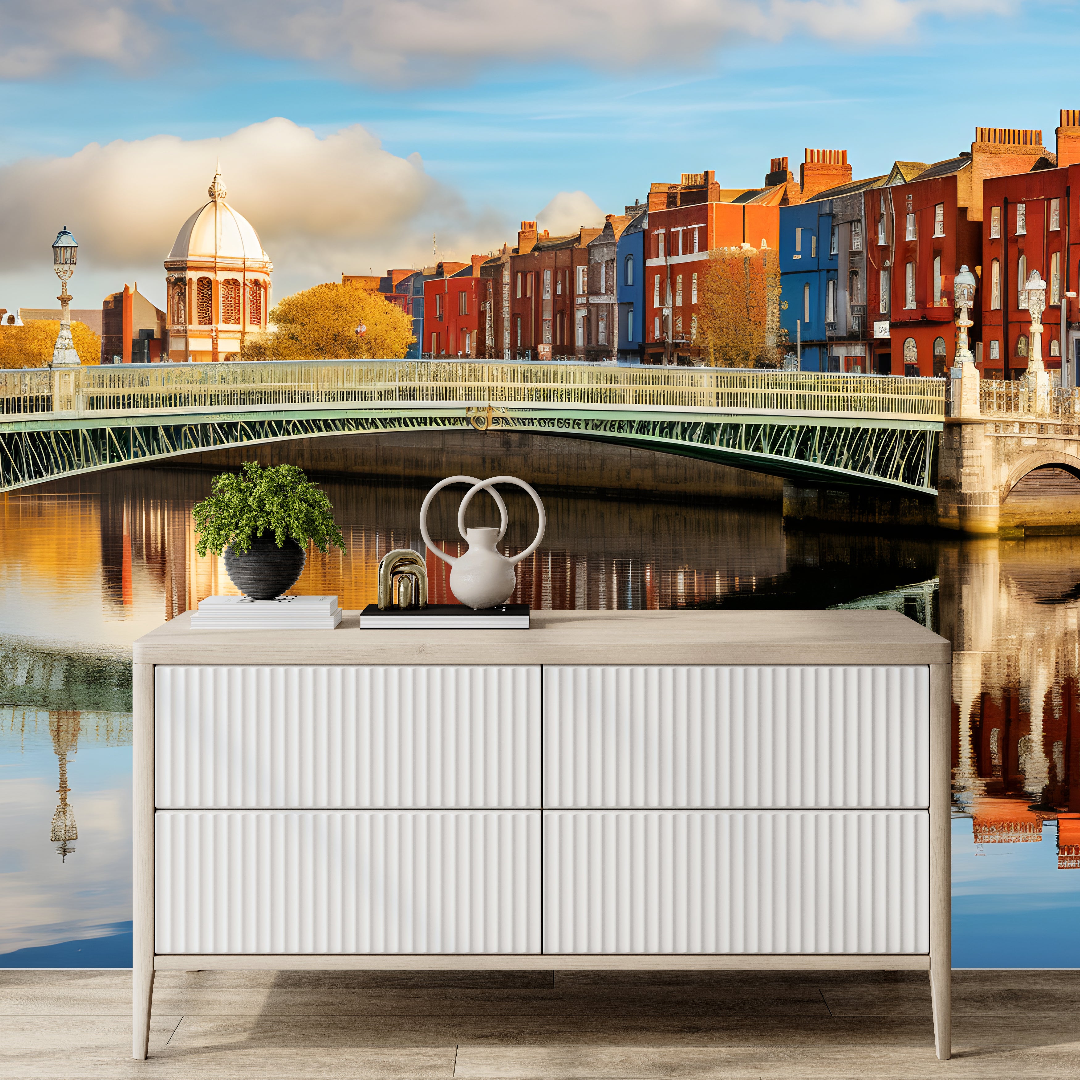 Dublin's River Serenade