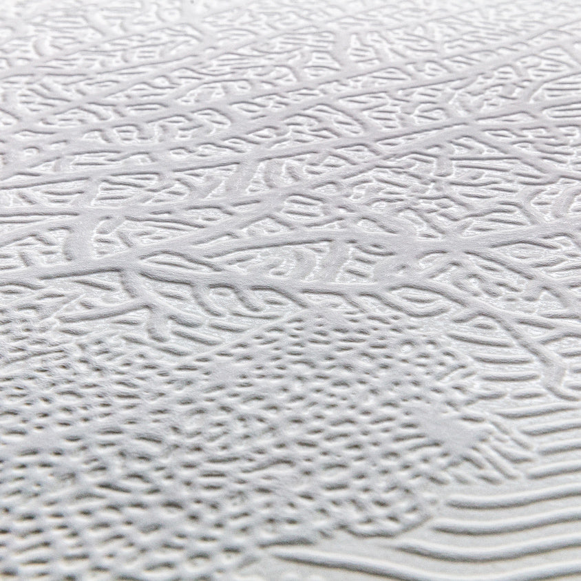 3D Coral Serenity - Paintable