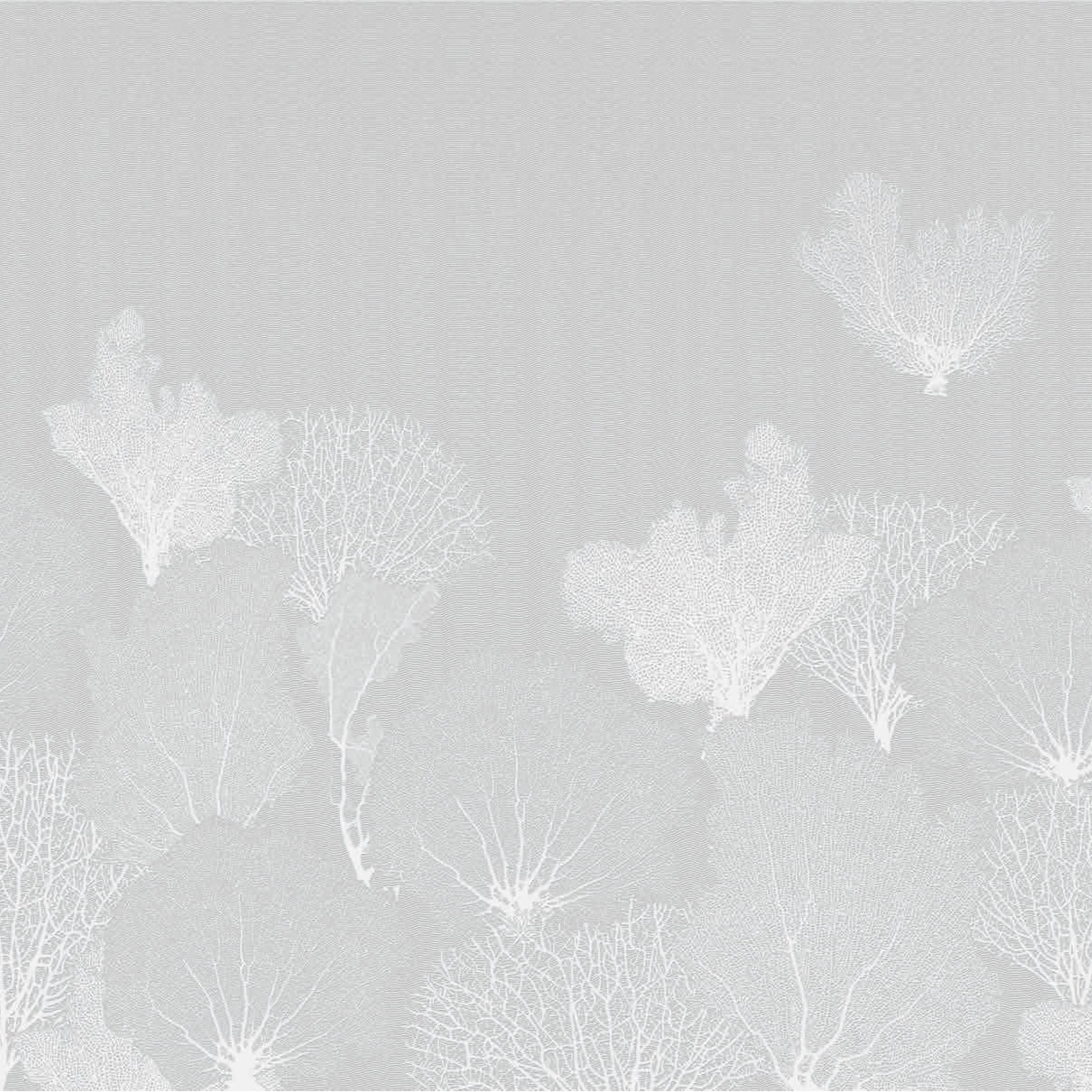 3D Coral Serenity - Paintable Mural