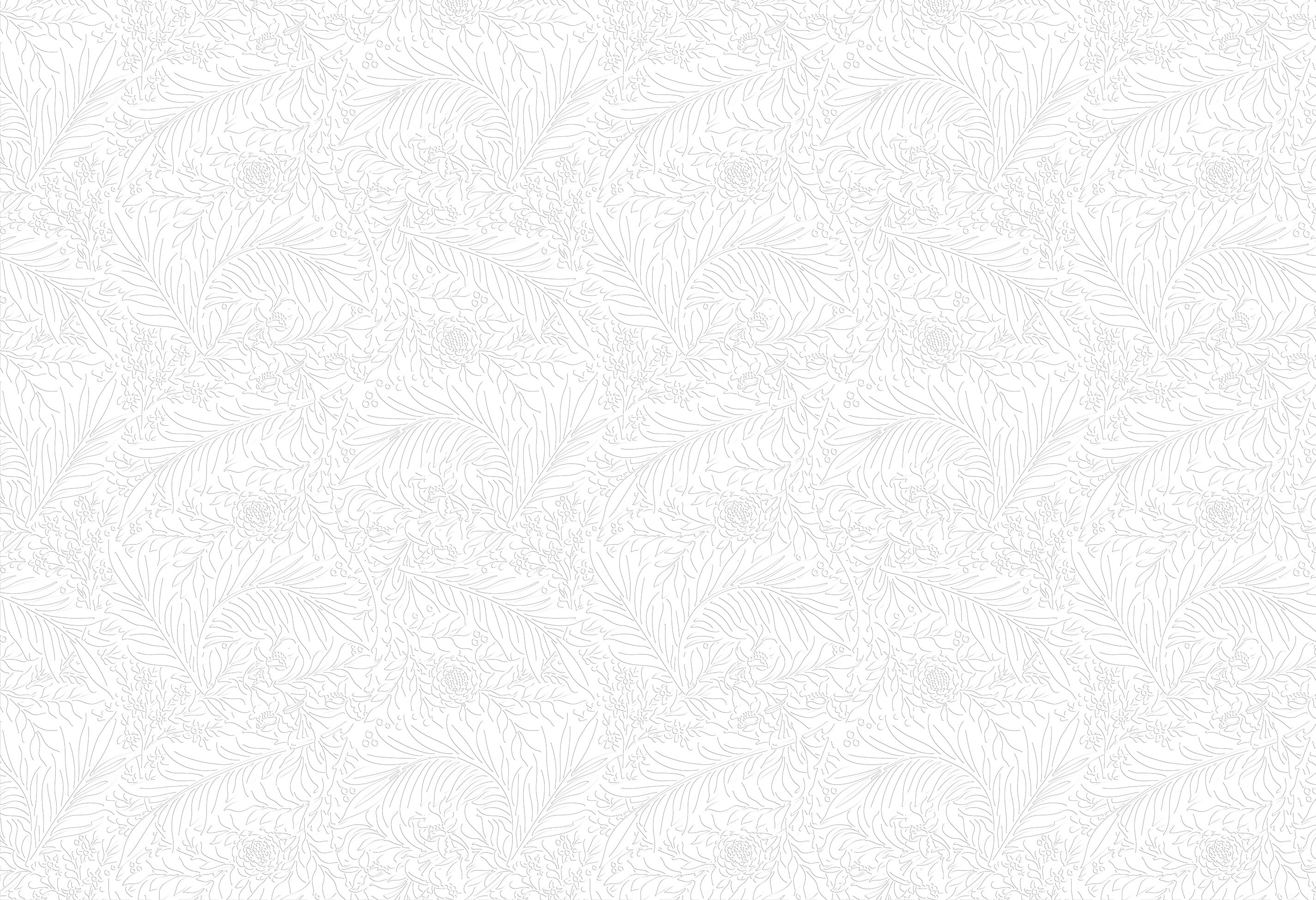 3D Gossamer Plumes - Paintable Mural