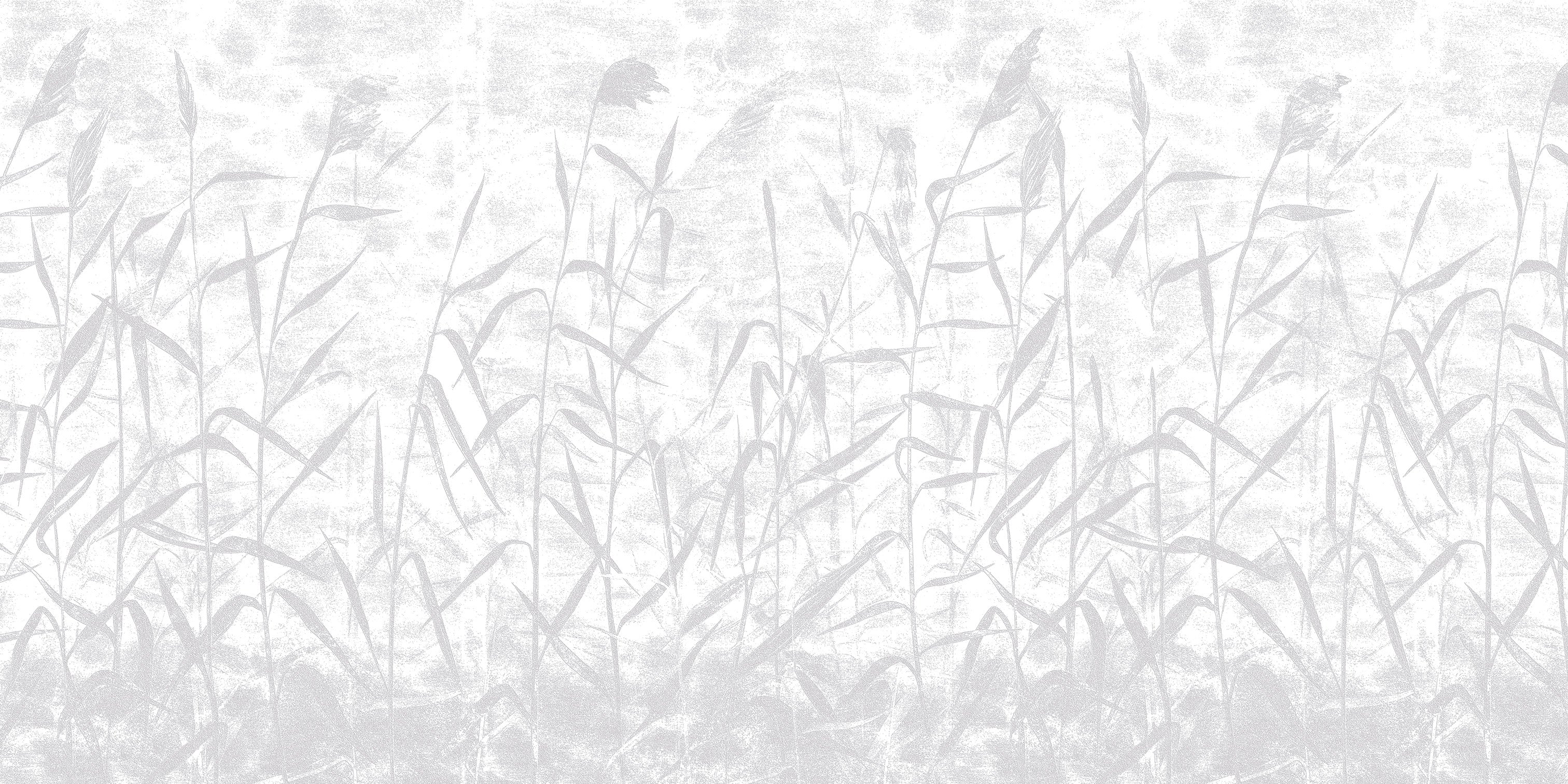 3D Whispering Wetlands - Paintable Mural