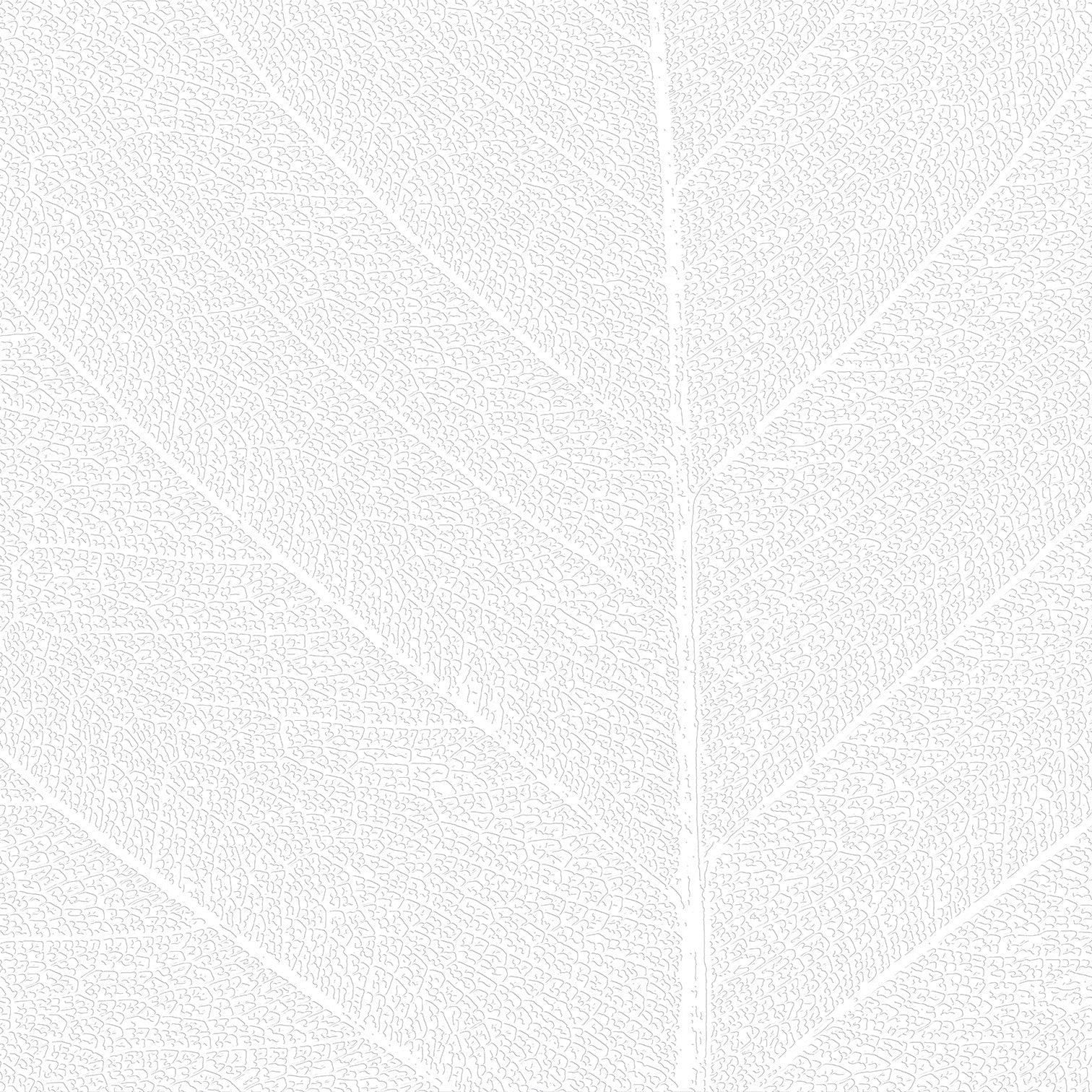 3D Great Branching Secret - Paintable Mural