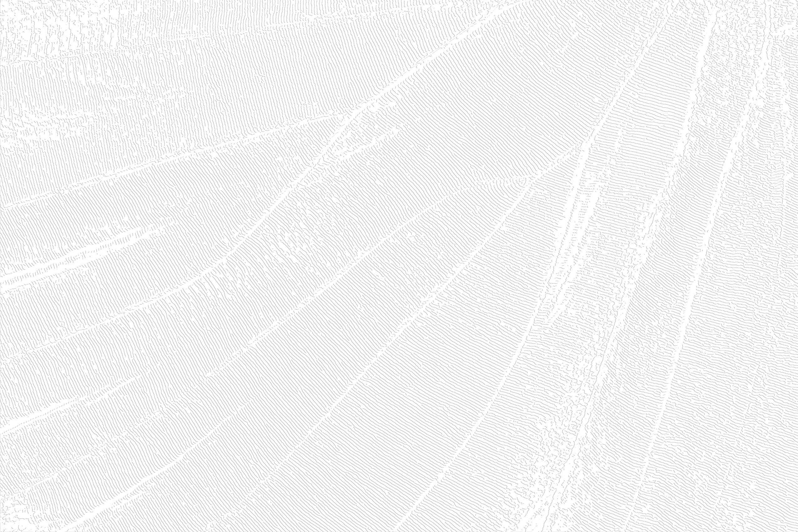 3D Willow Whispers - Paintable Mural