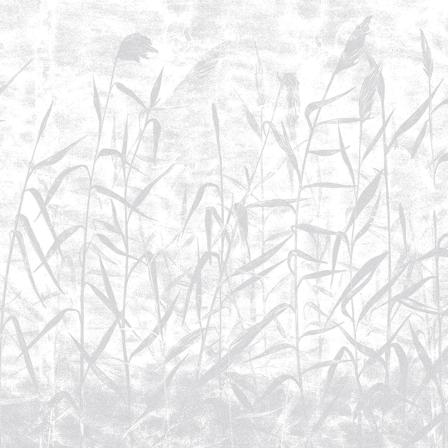 3D Whispering Wetlands - Paintable Mural