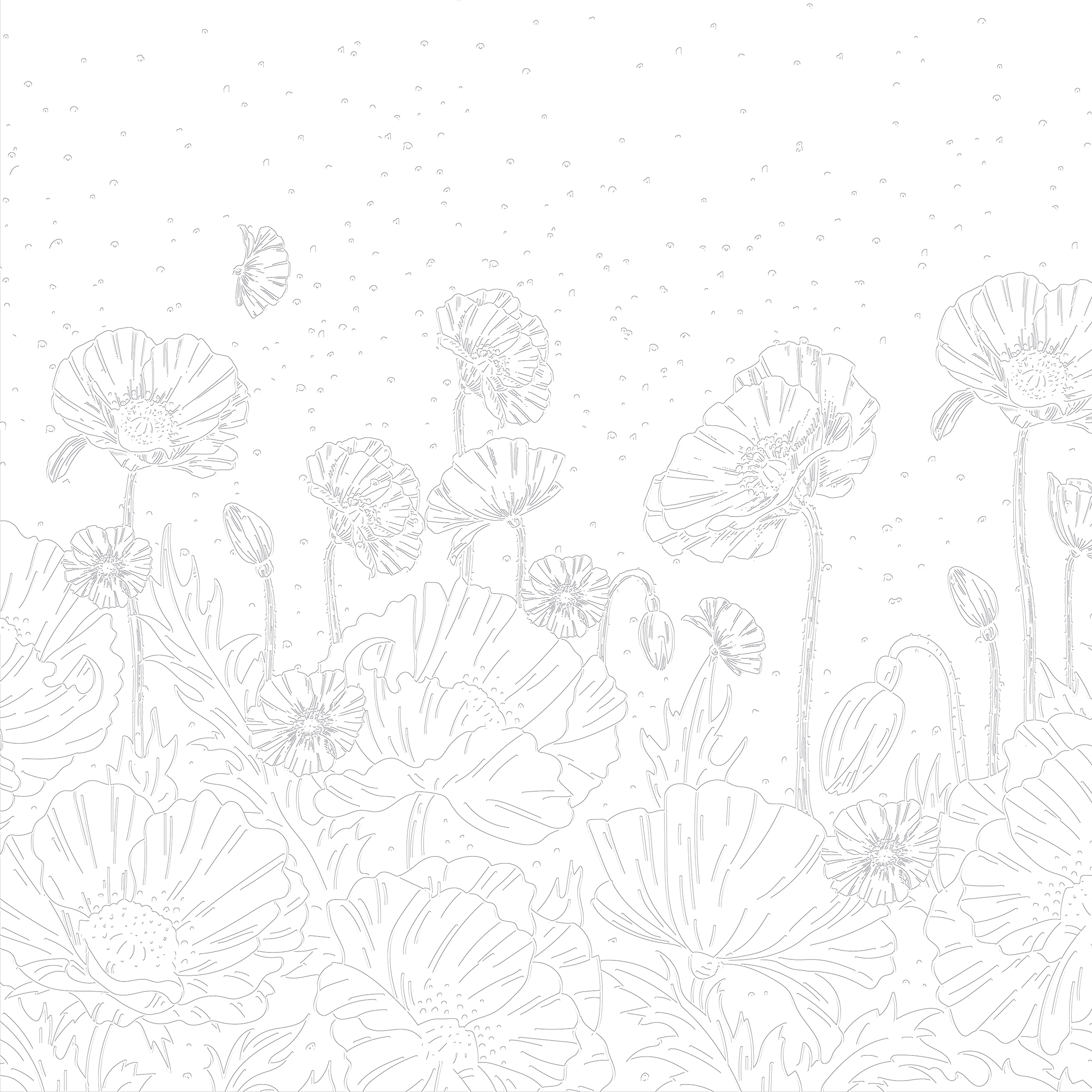 3D Poppy Meadow Relief - Paintable Mural