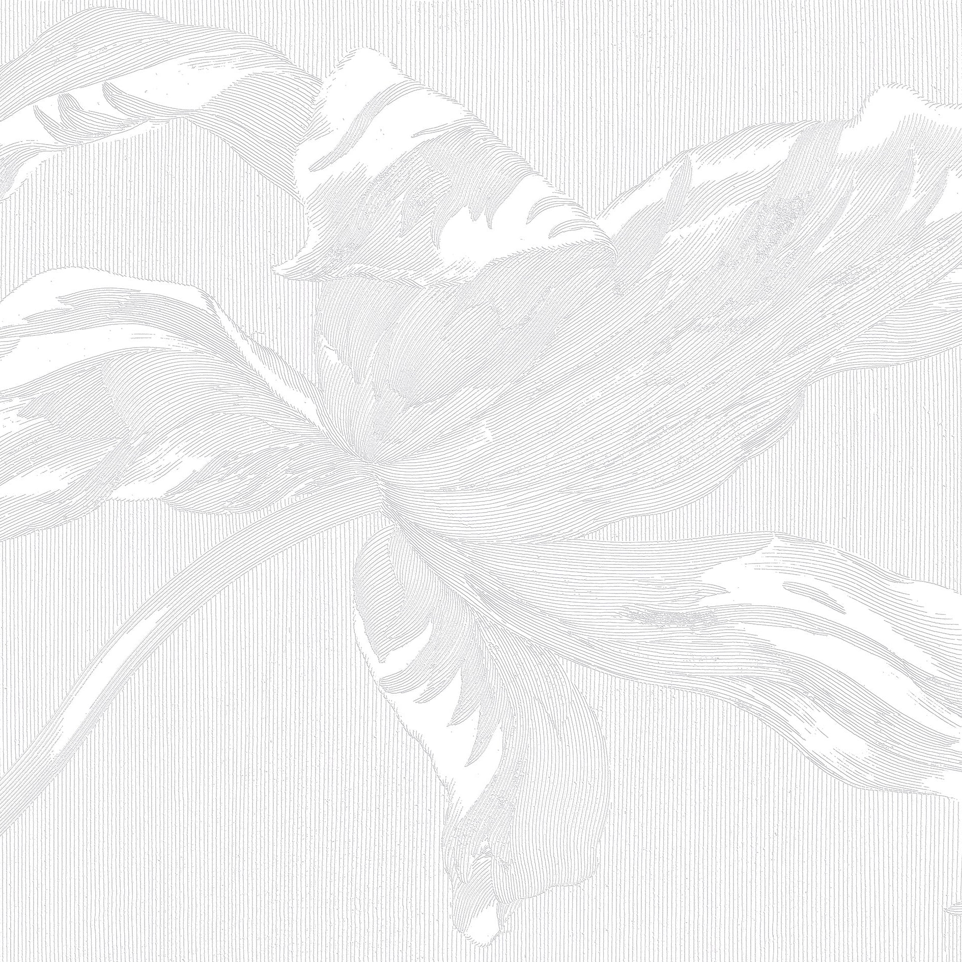 3D Tropical Majesty Leaf - Paintable Mural