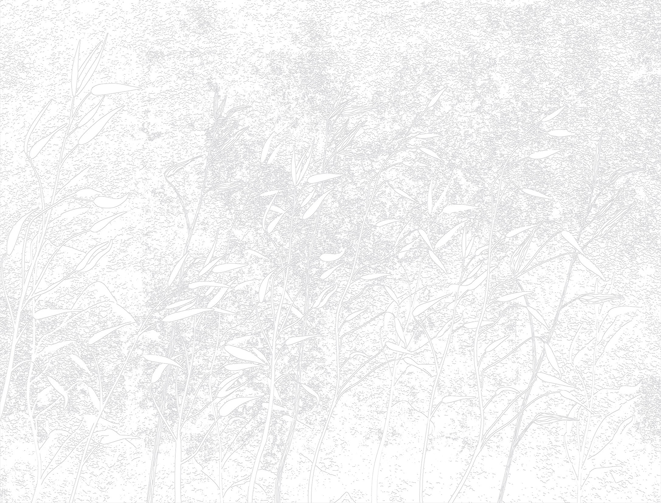 3D Whispering Canes - Paintable Mural