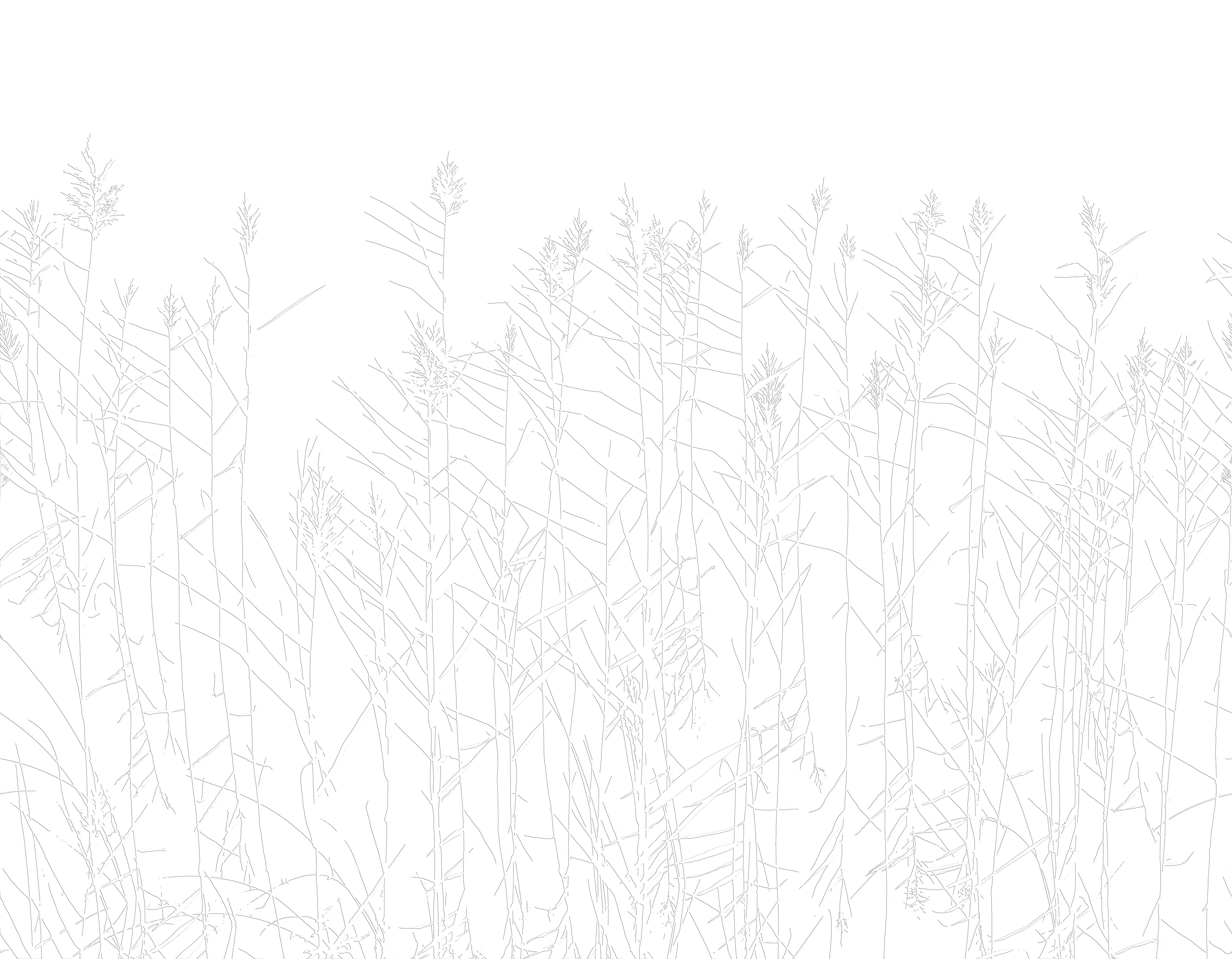 3D Windswept Prairie Relief - Paintable Mural