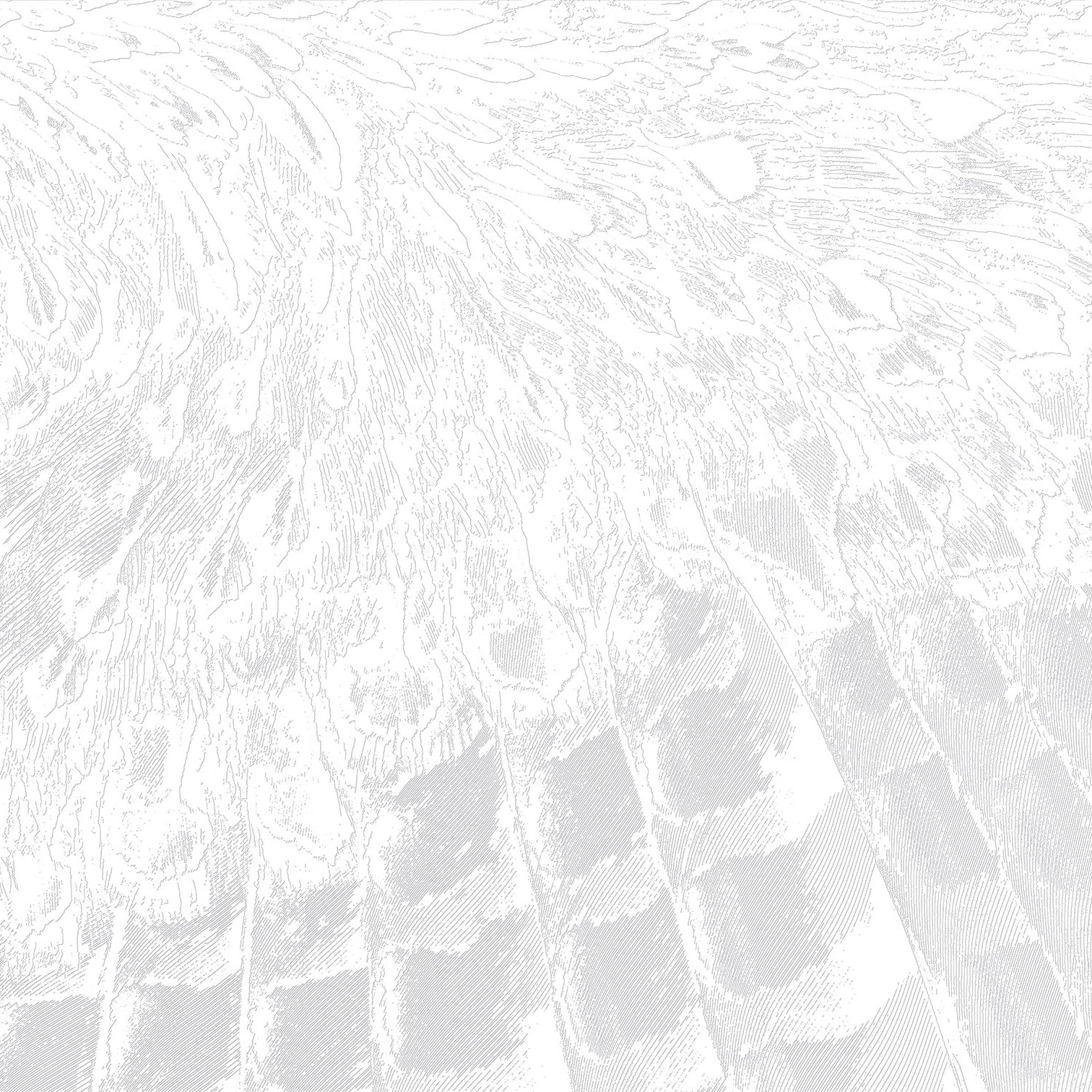 3D Coastal Driftwood Grain- Paintable Mural