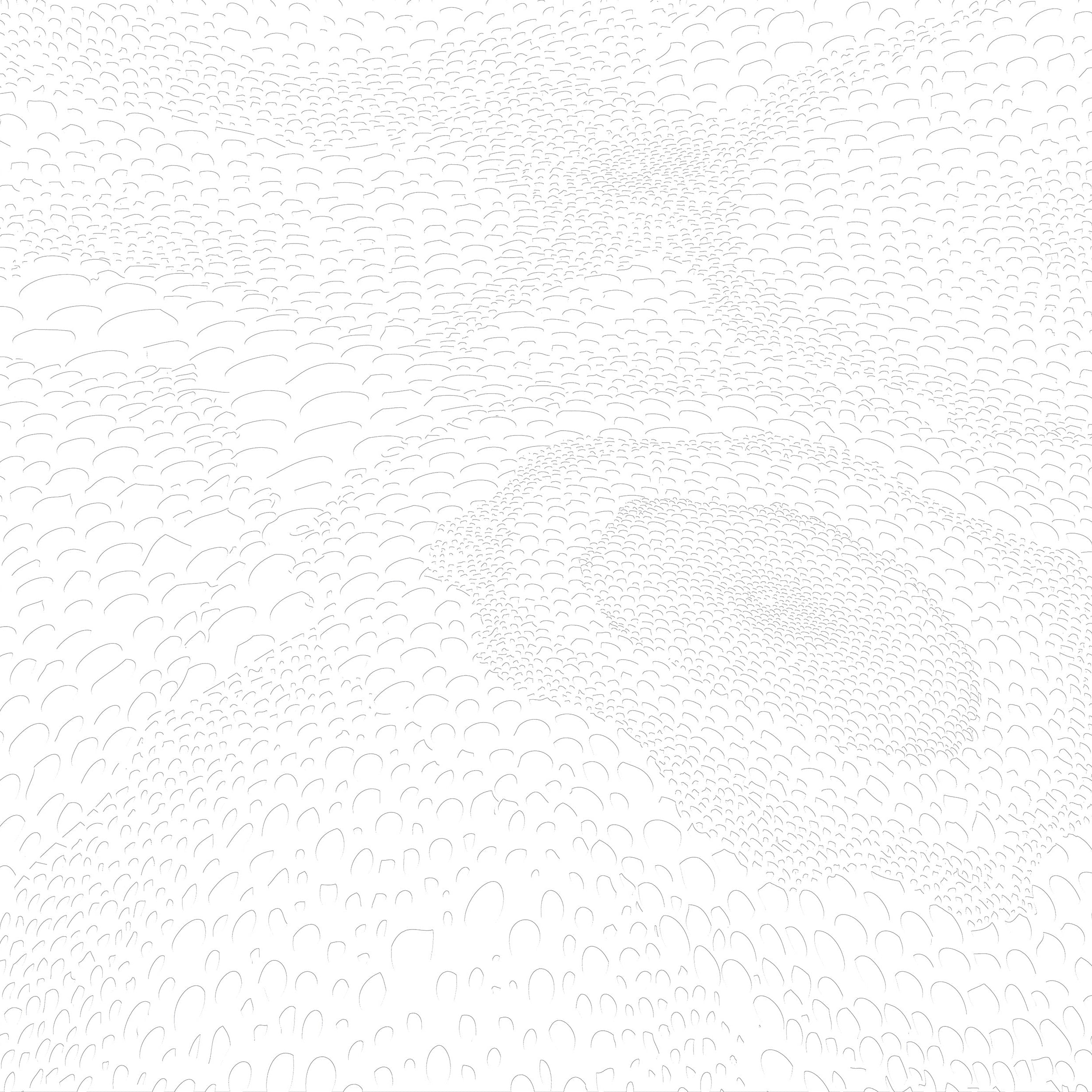 3D Aquatic Scales - Paintable Mural