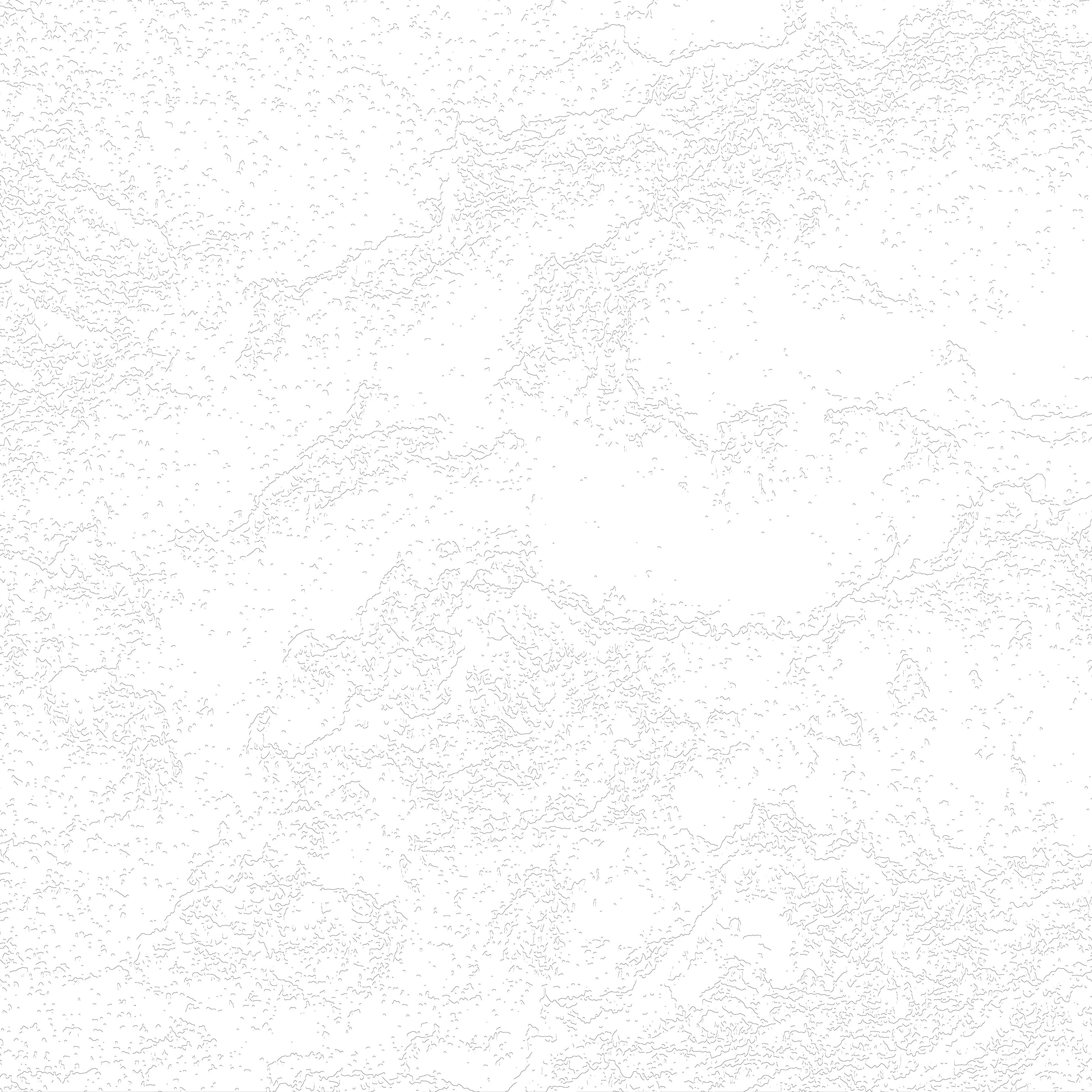 3D Aged Bark - Paintable Mural