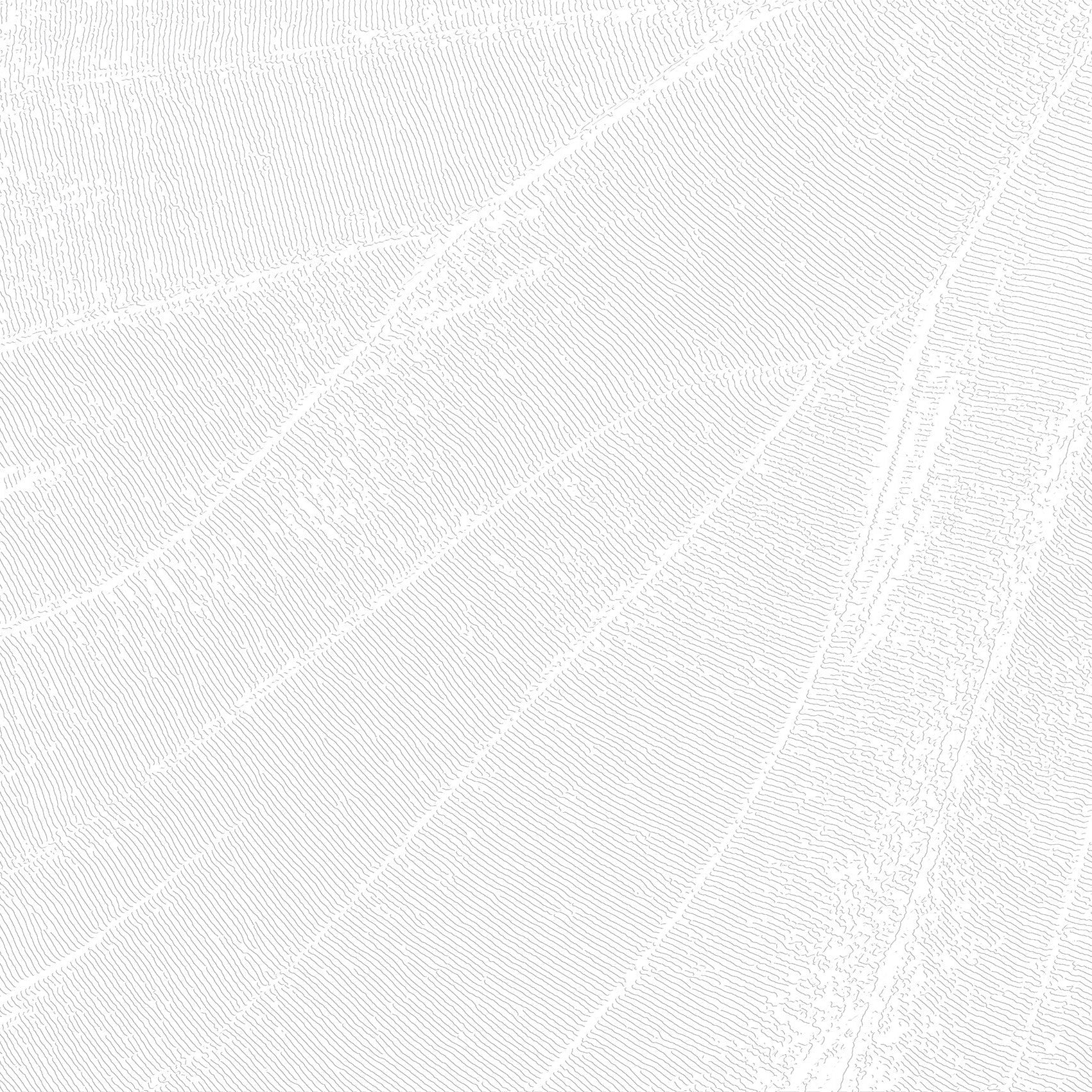 3D Willow Whispers - Paintable Mural