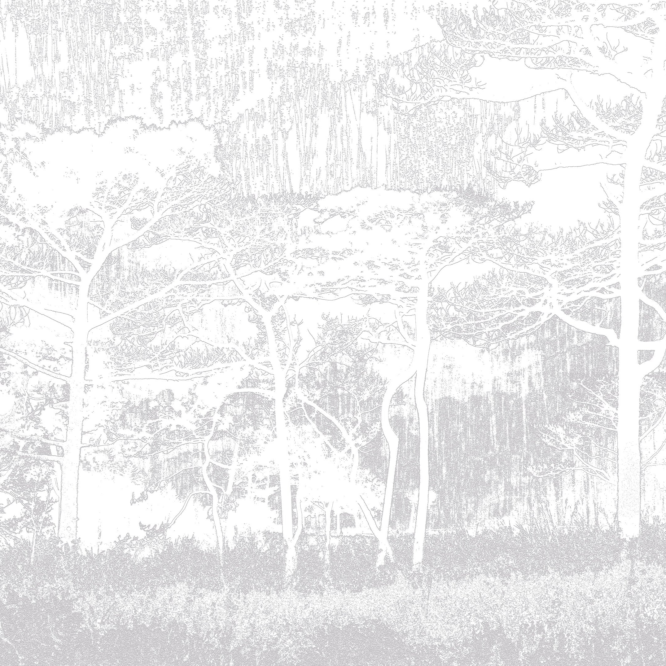 3D Shadow Woods - Paintable Mural