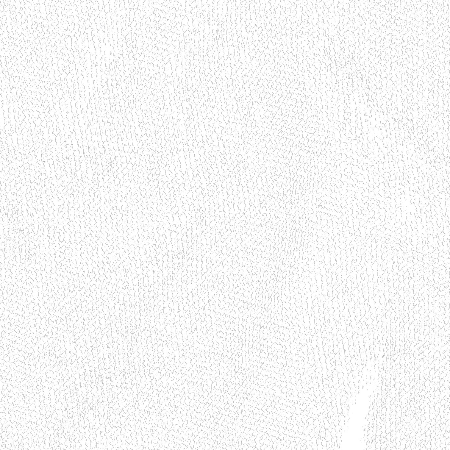 3D Whispering Willow Bark - Paintable Mural