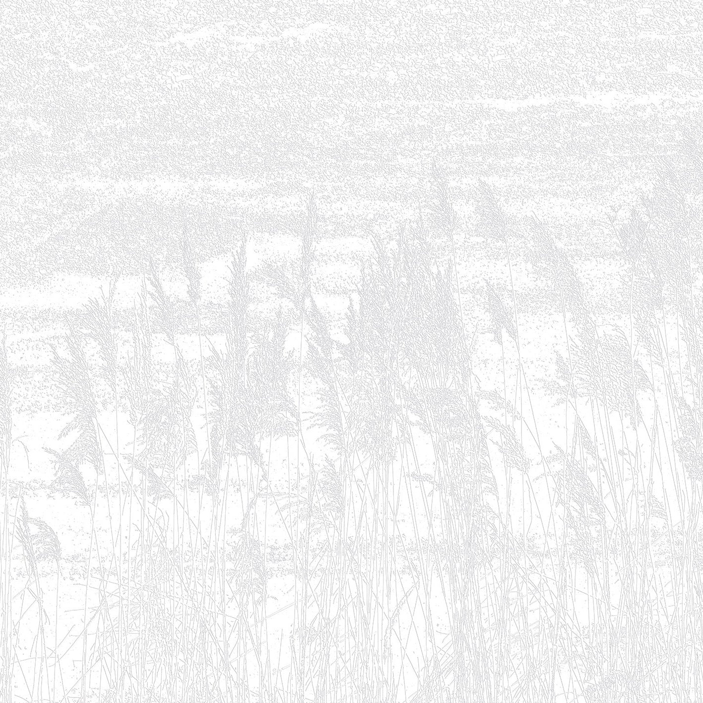 3D Whispering Wheatfields - Paintable Mural