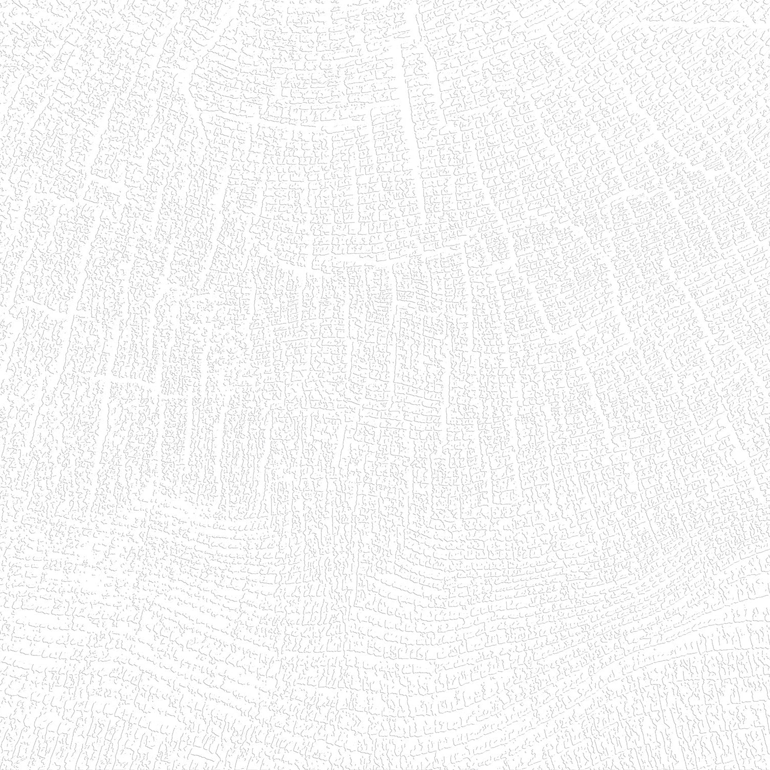 3D Radial Timber - Paintable Mural