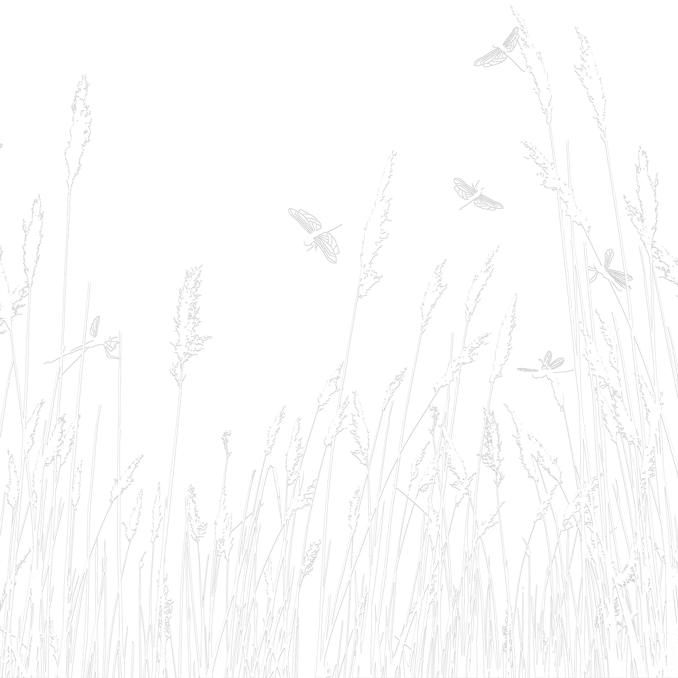 3D Dragonfly’s Daydream - Paintable Mural