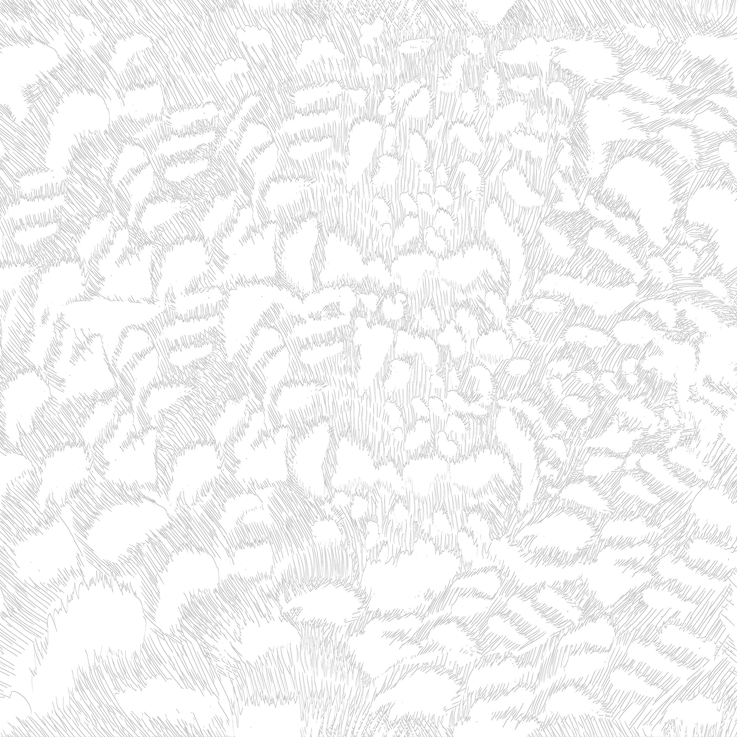 3D Abstract Terrain Map - Paintable Mural