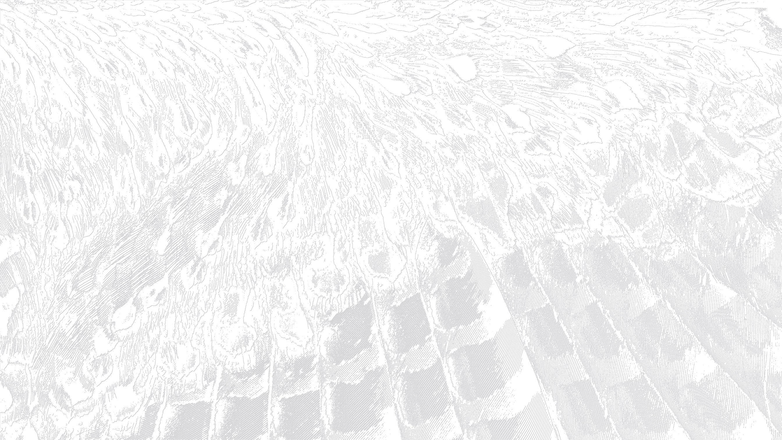 3D Coastal Driftwood Grain- Paintable Mural