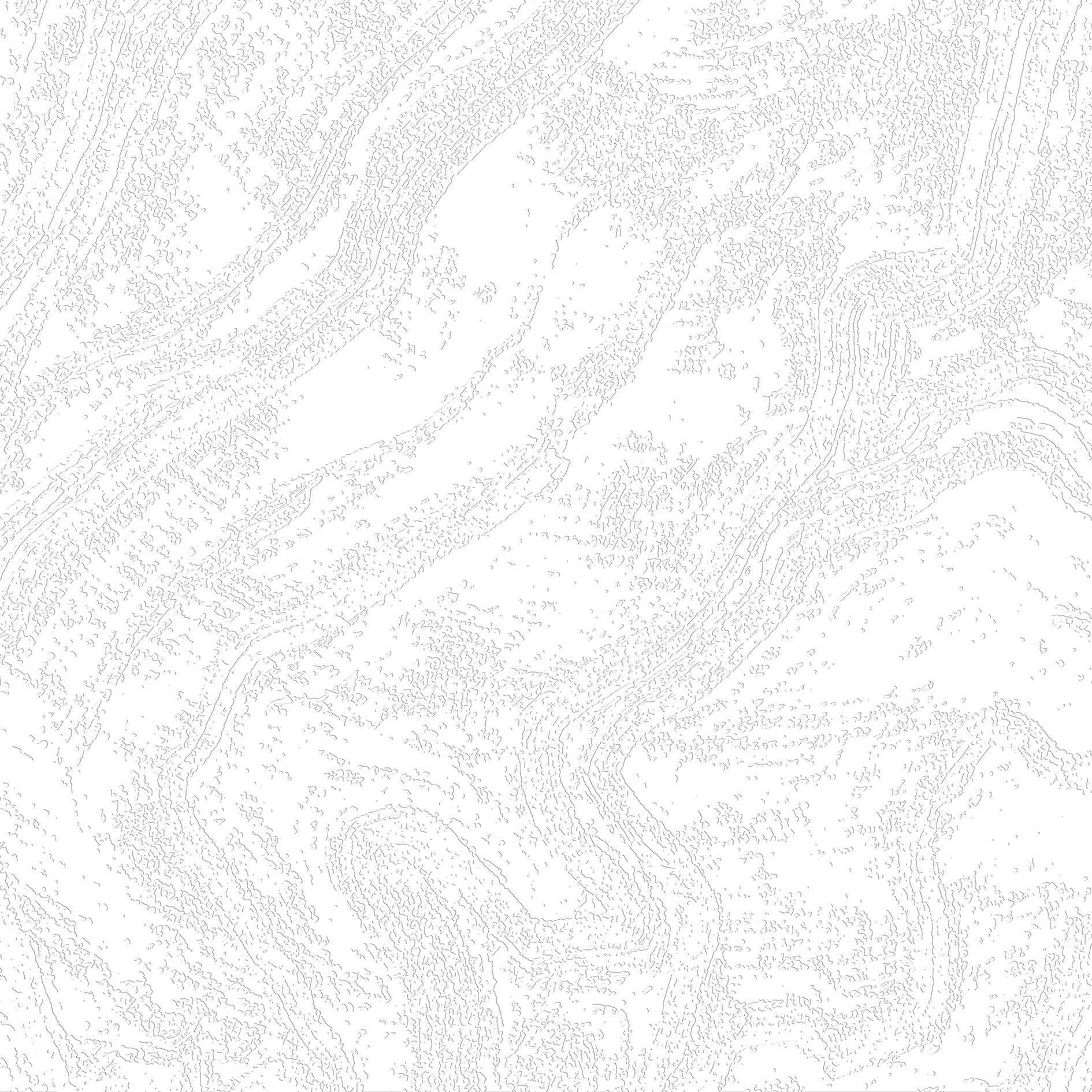 3D Whispering Driftwood Trails - Paintable Mural