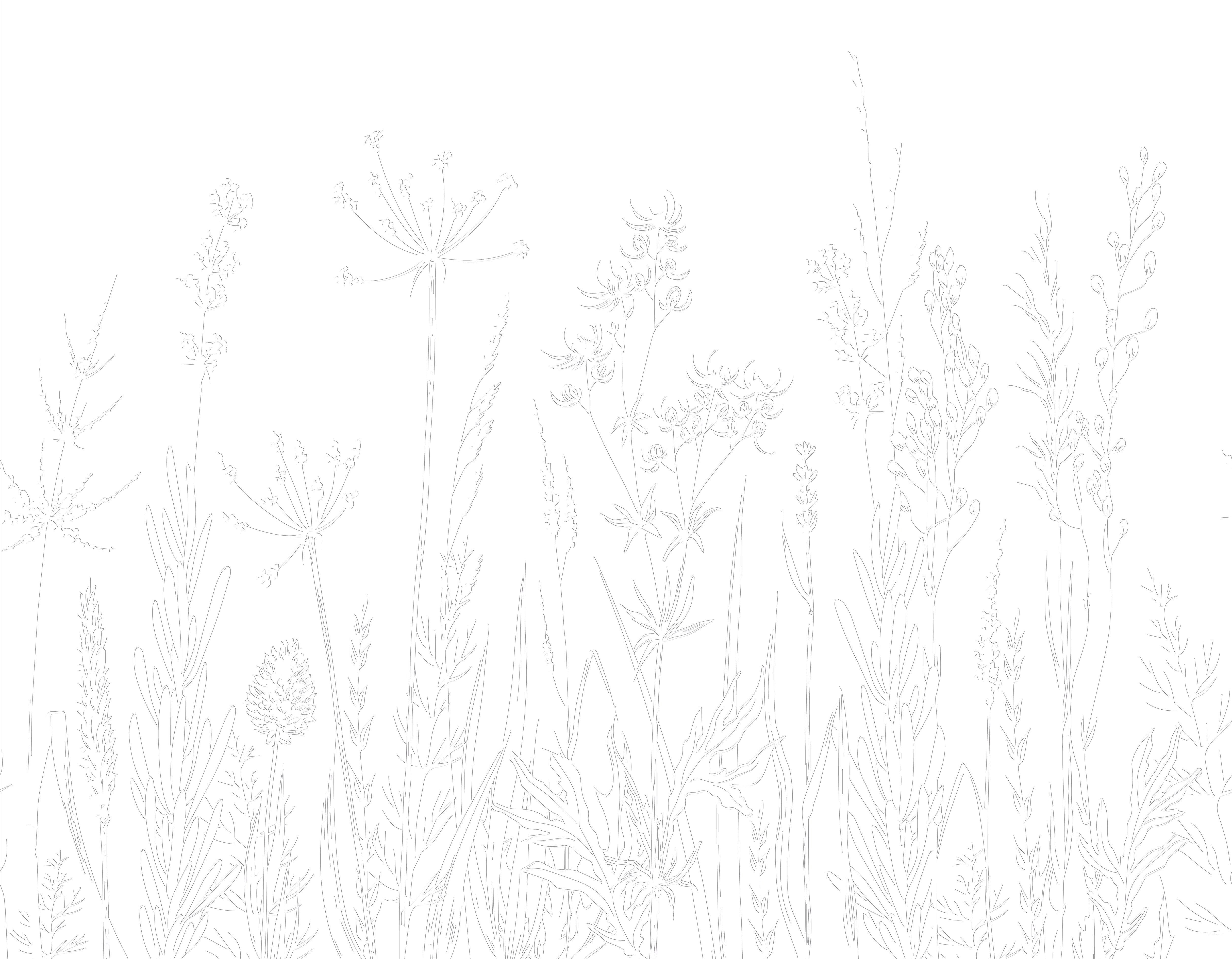 3D Wildflower Meadow - Paintable Mural