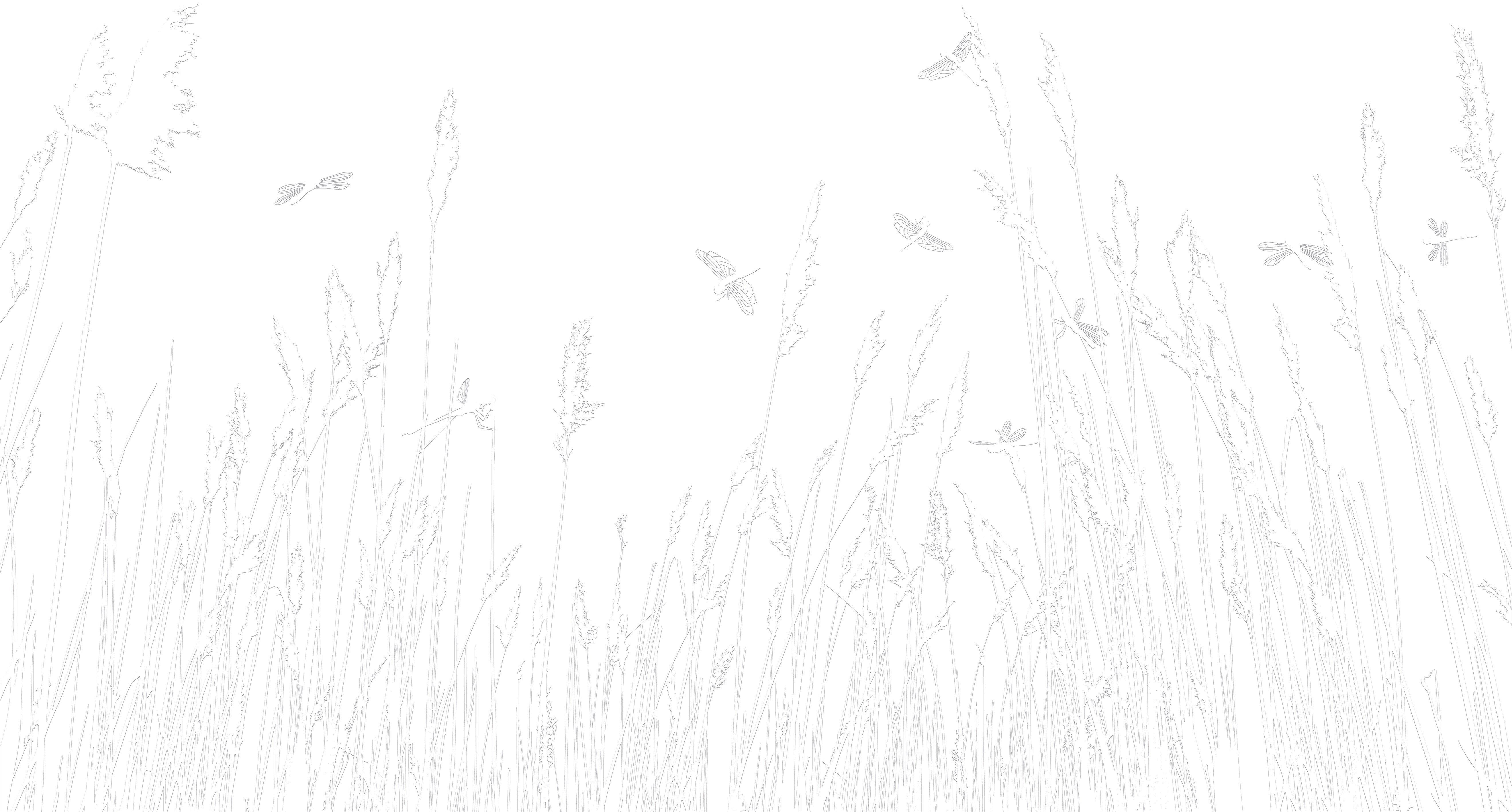 3D Dragonfly’s Daydream - Paintable Mural