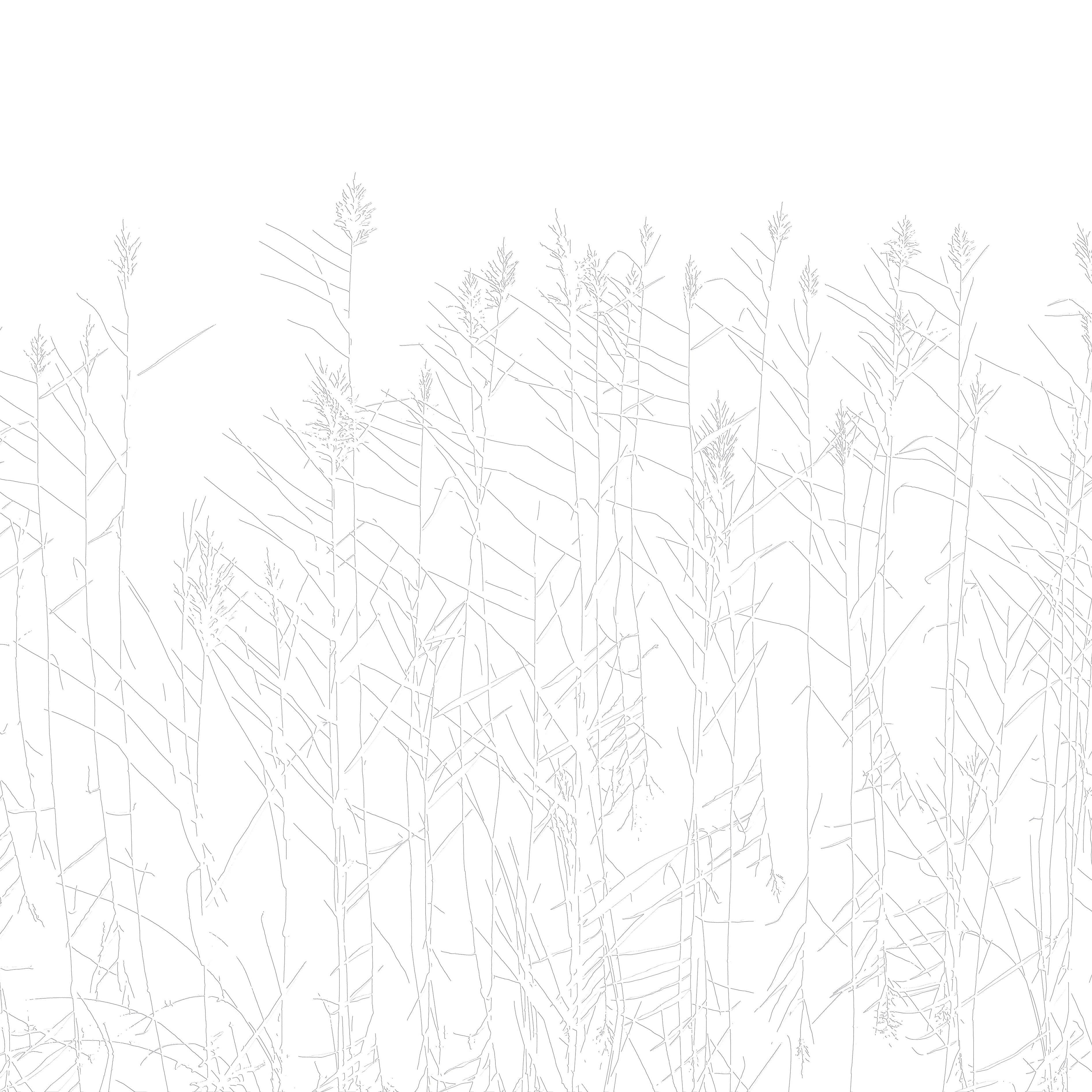 3D Windswept Prairie Relief - Paintable Mural