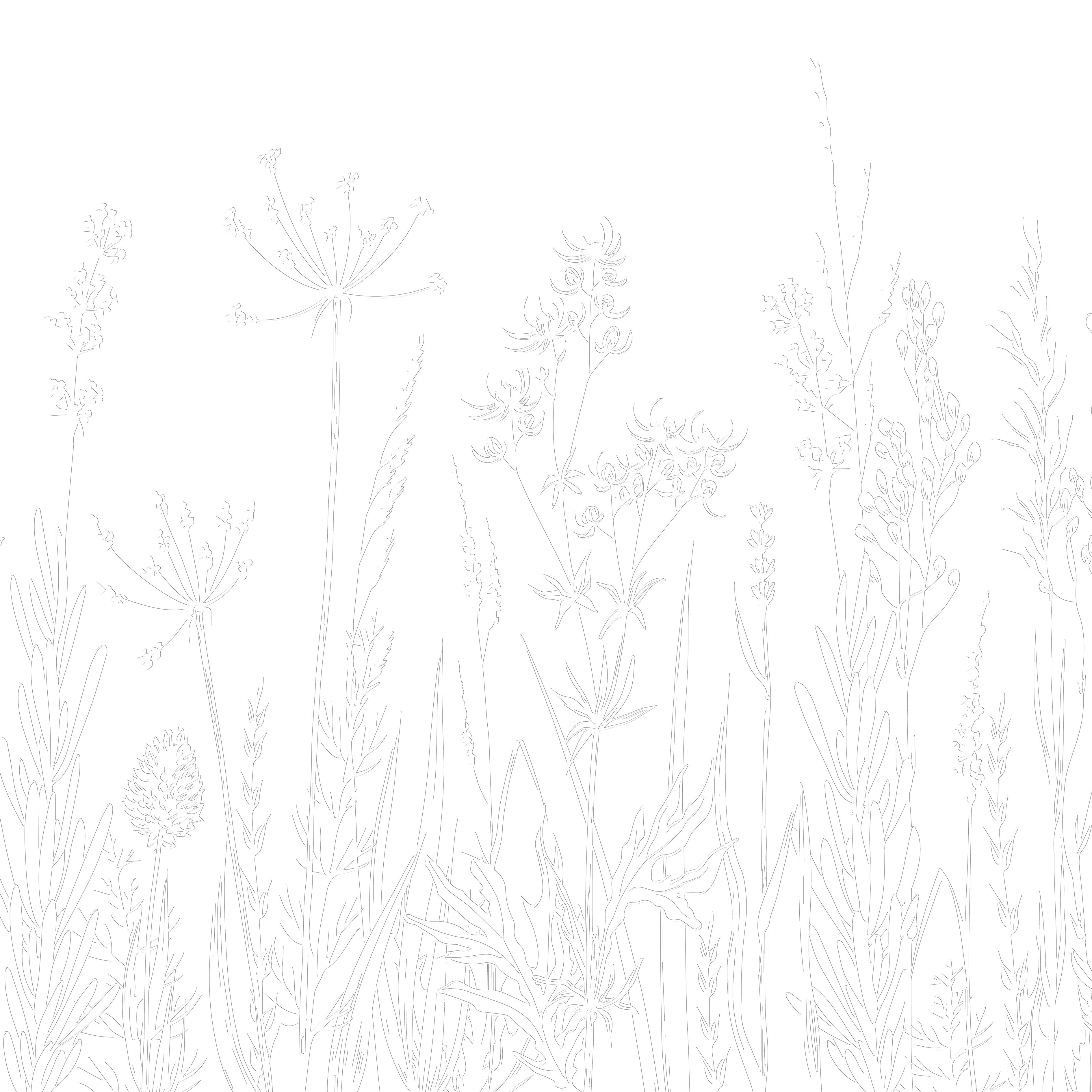 3D Wildflower Meadow - Paintable Mural