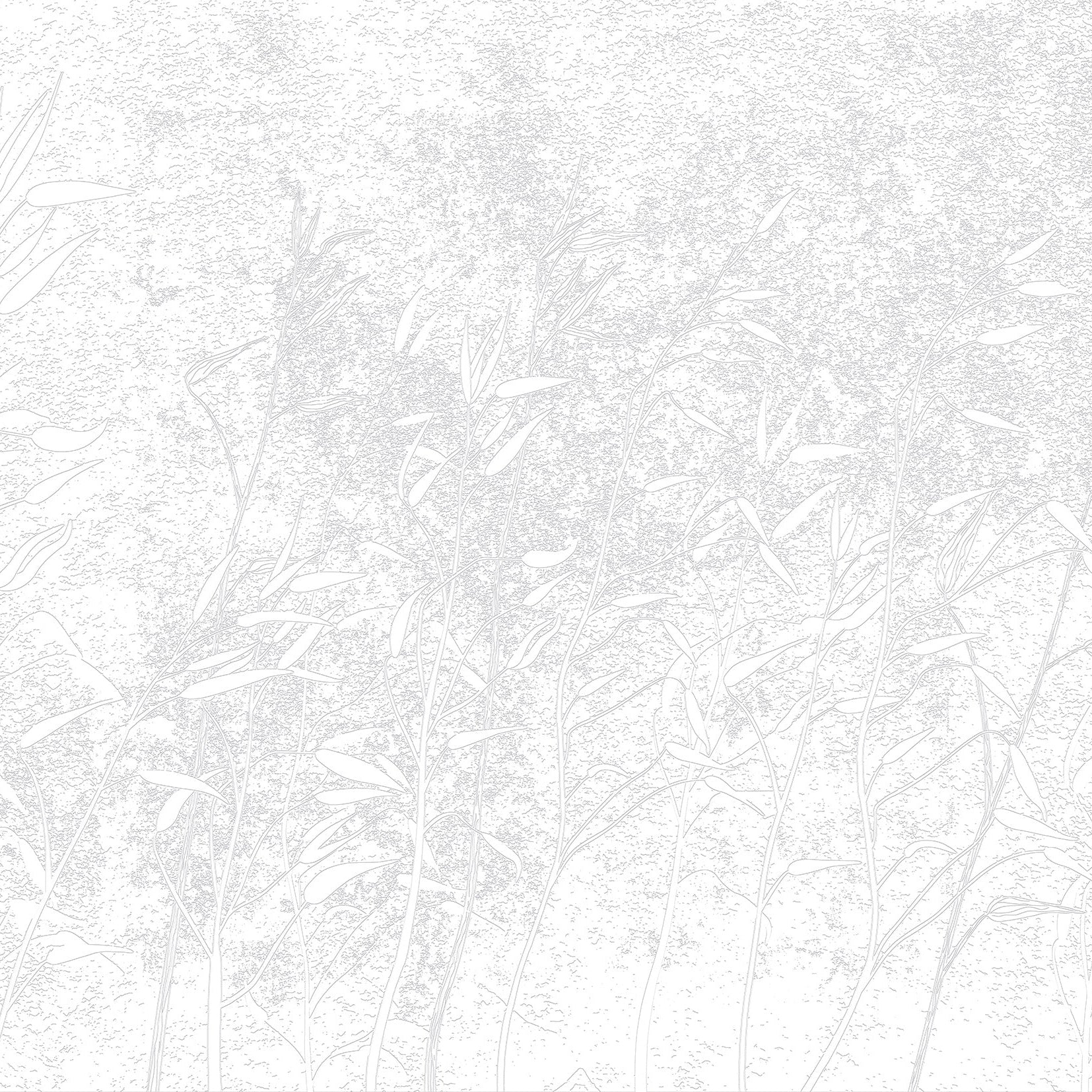 3D Whispering Canes - Paintable Mural