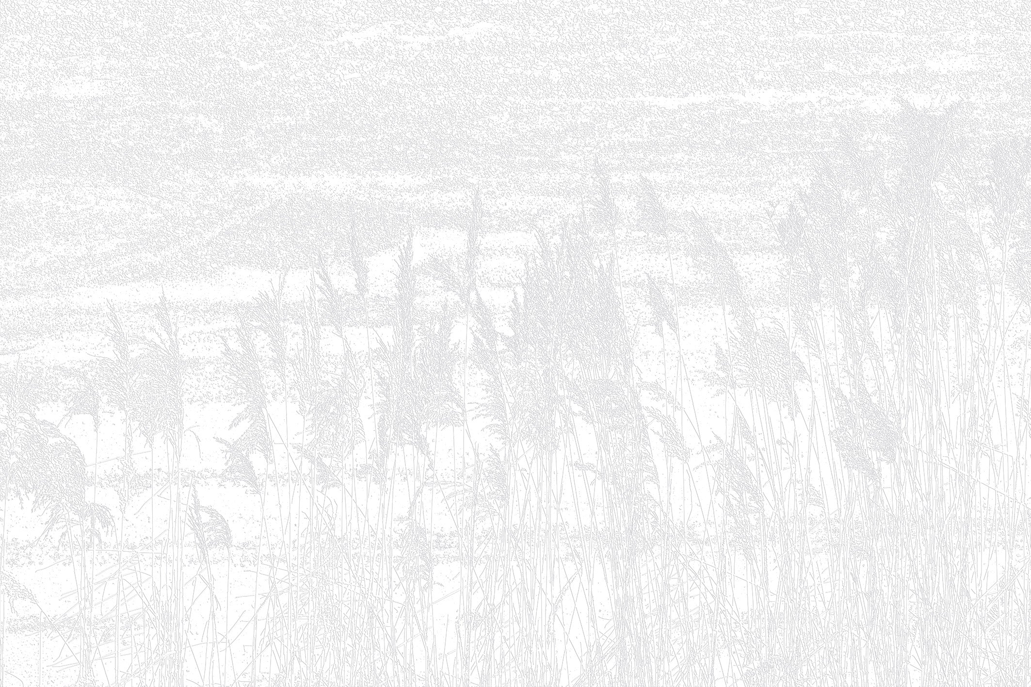 3D Whispering Wheatfields - Paintable Mural