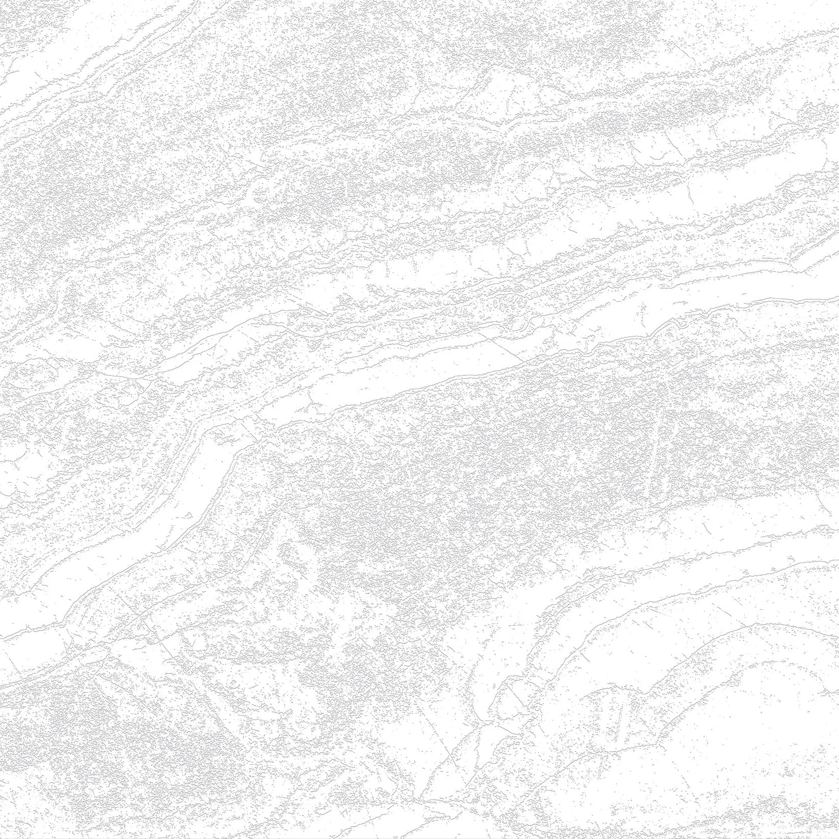 3D Weathered Driftwood - Paintable Mural