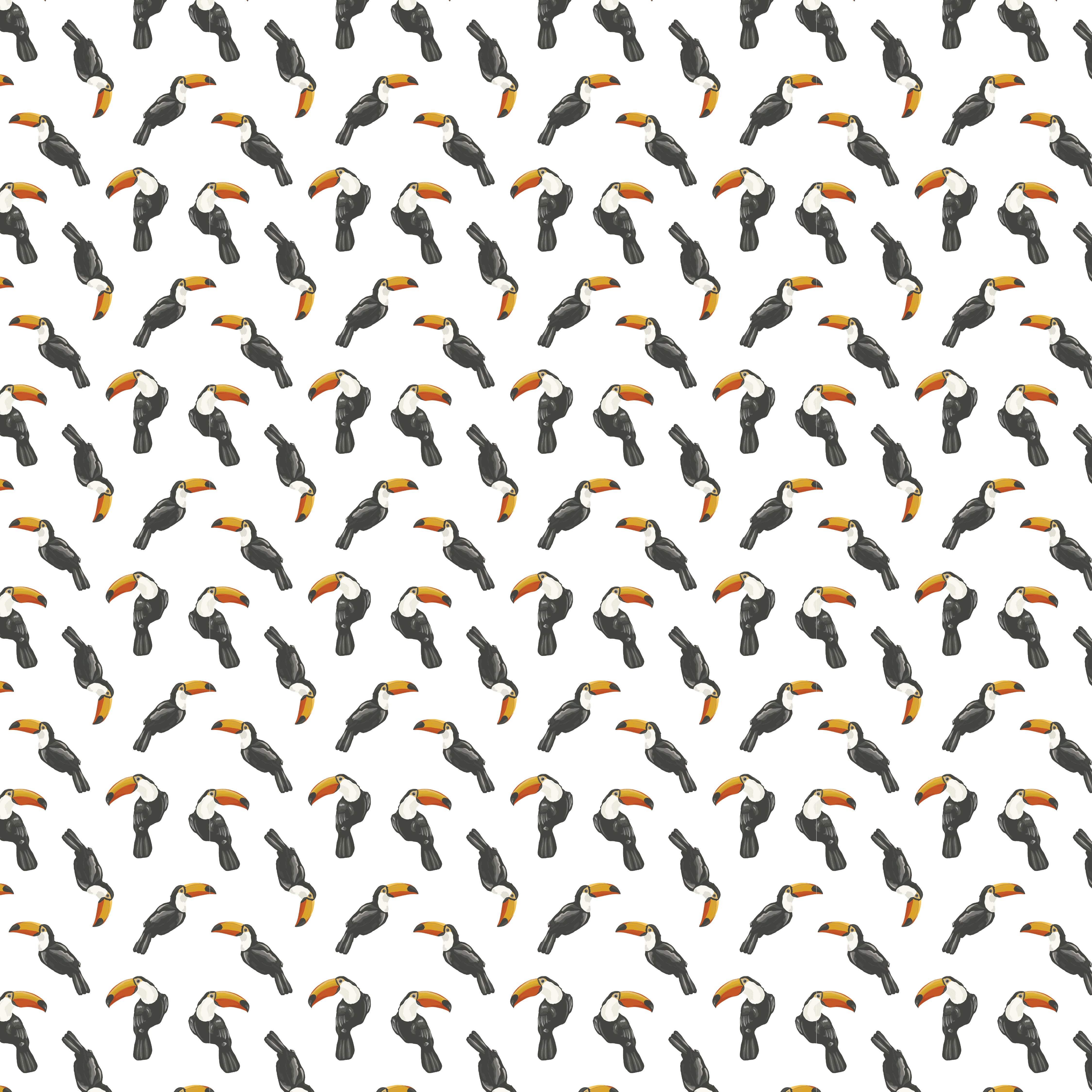 Toucan Tropic Flight