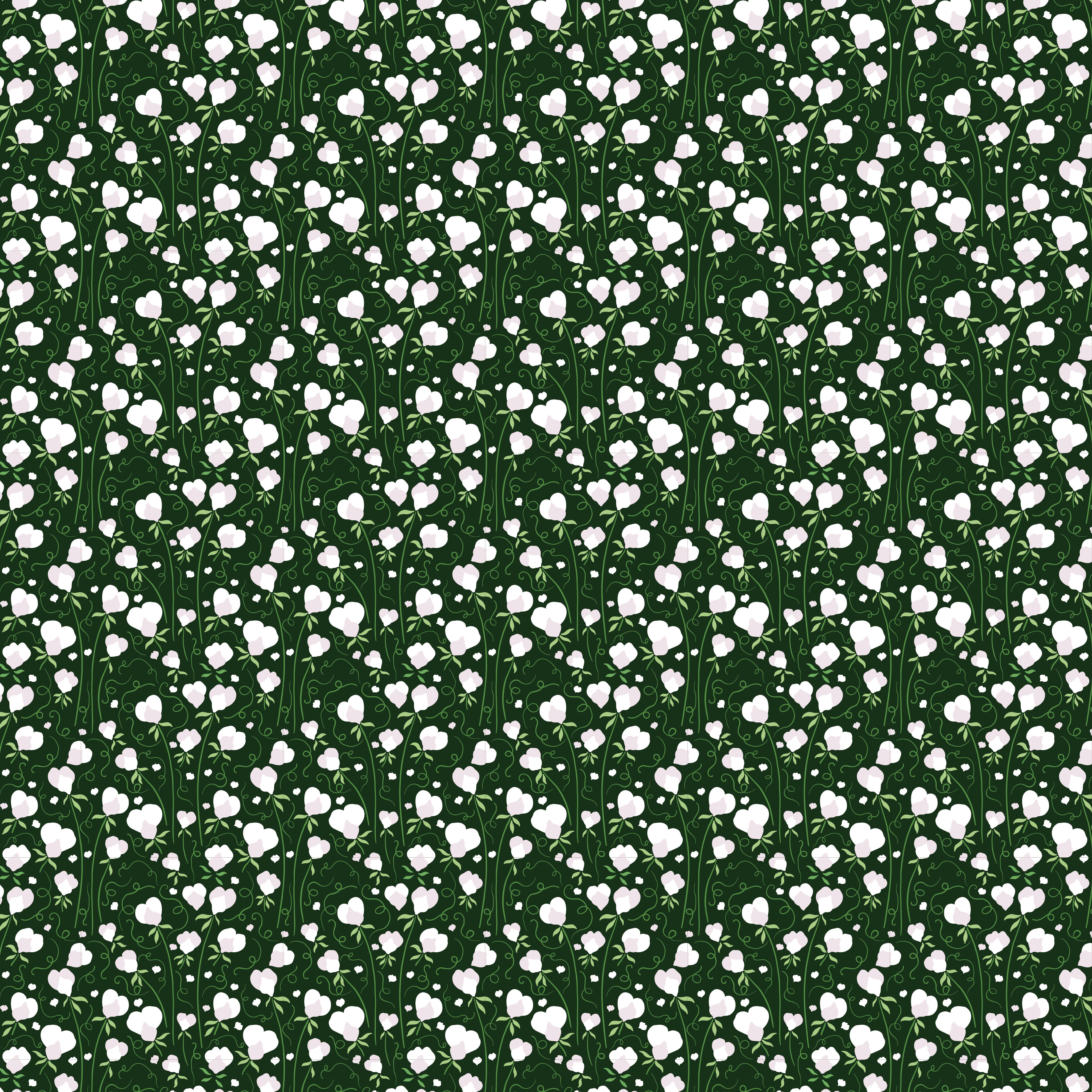 Bloomveil - Cotton Bloom