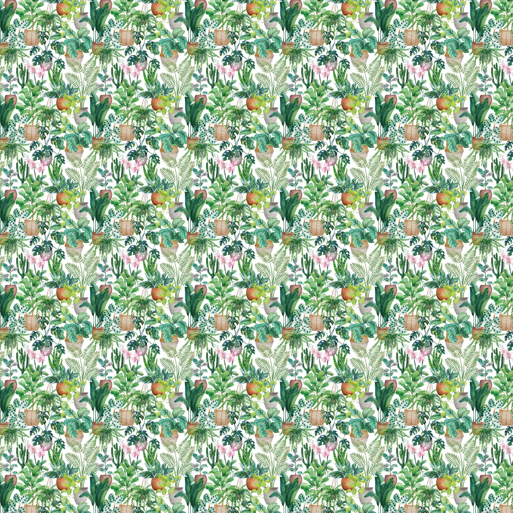 Terra Cotta Bloomscape
