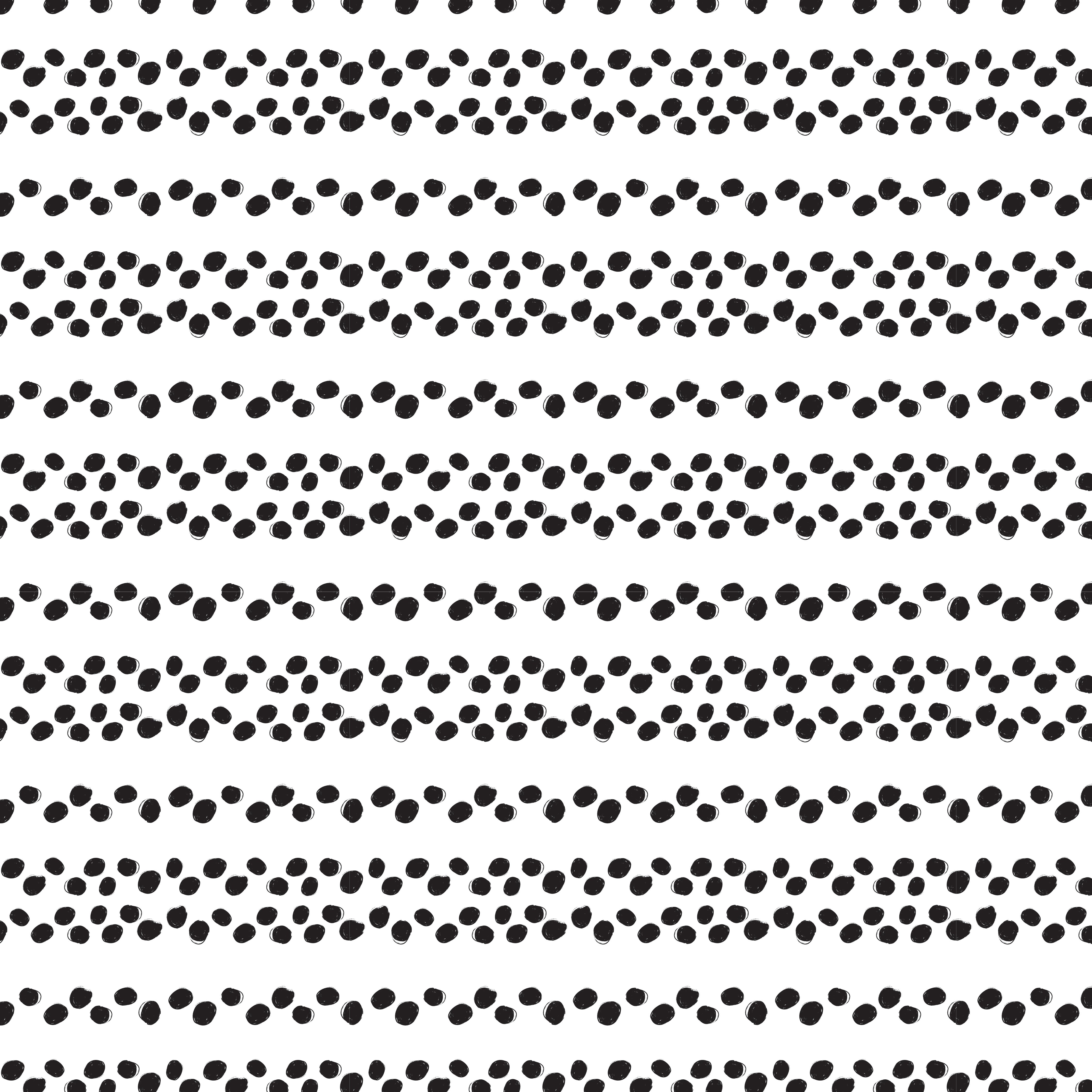 Monochrome Muse - Dotted Stripes