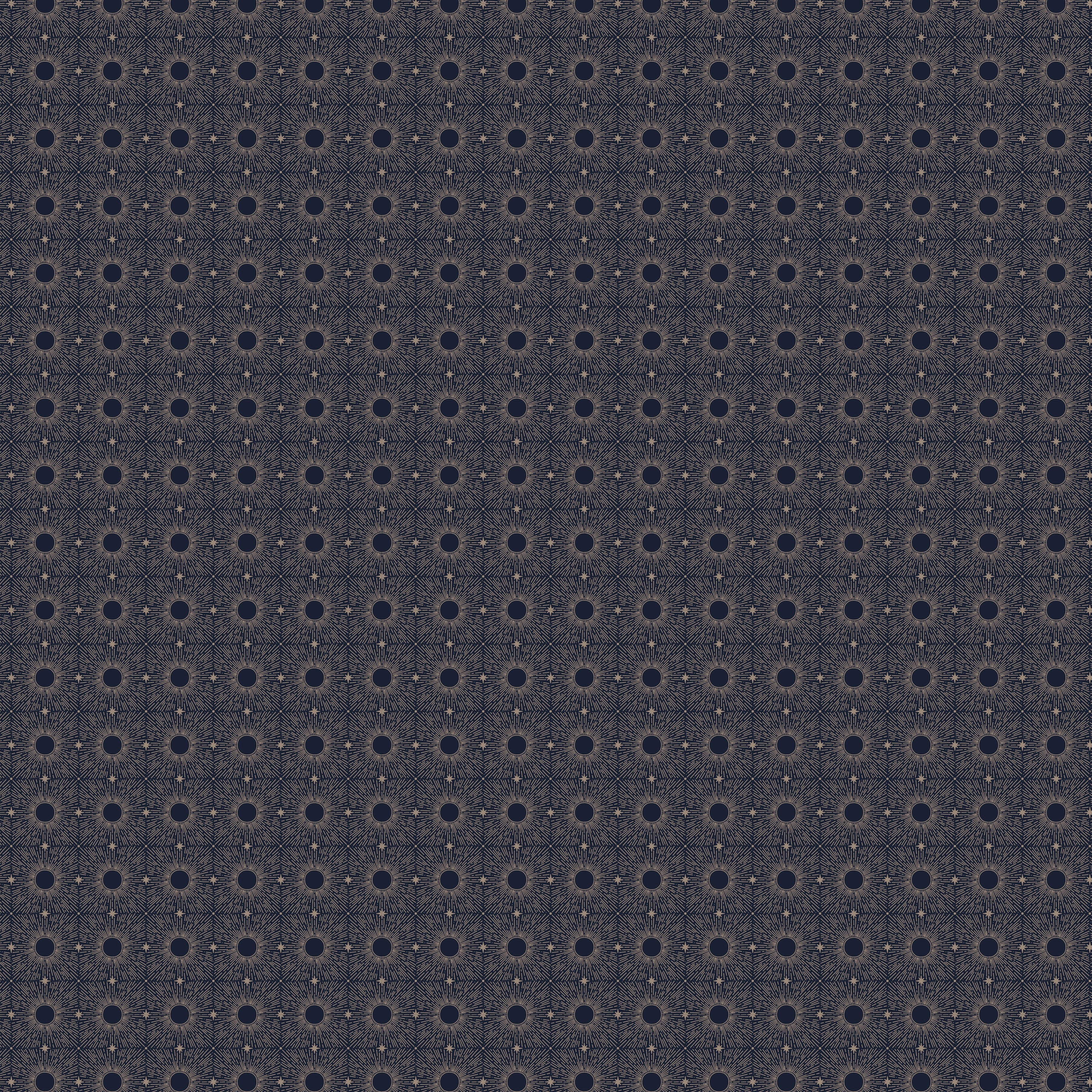 Celestial Echoes - Stellar Grid