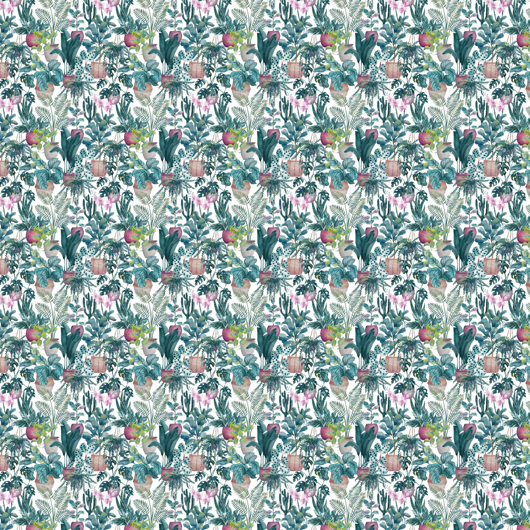 Potted Paradise